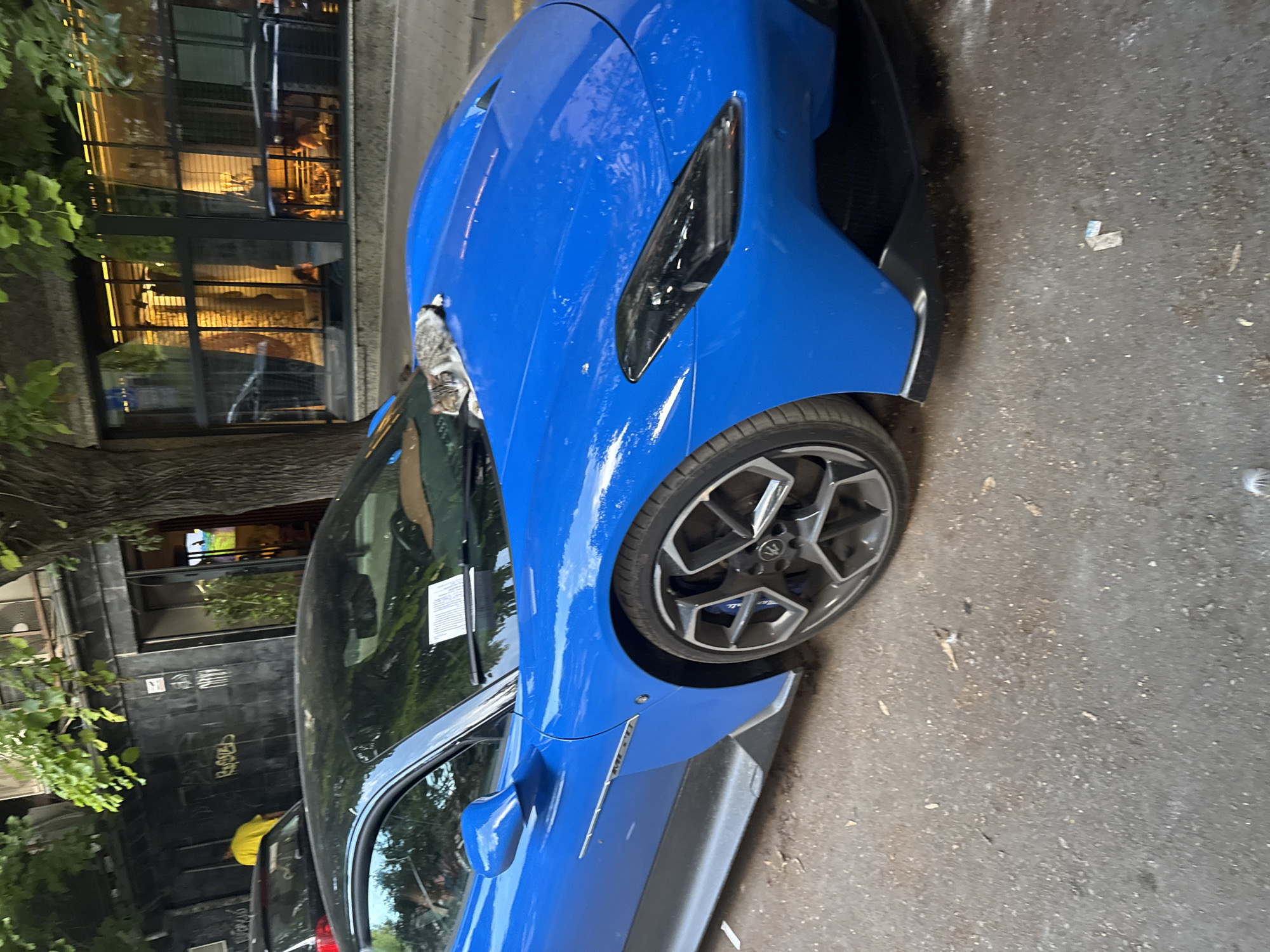 Cat claims a parked sports car in Varna, parking ticket included