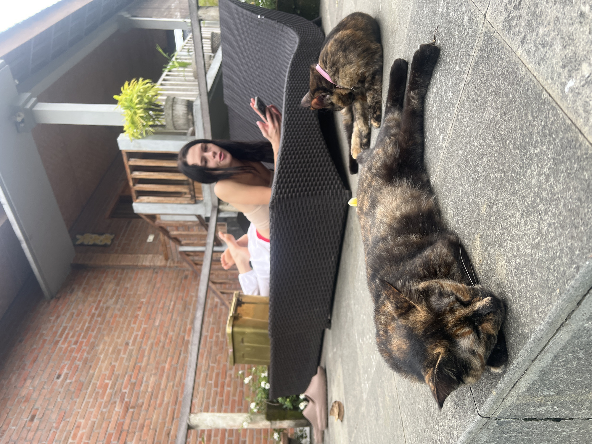 Woman relaxes with cats on North Kuta patio