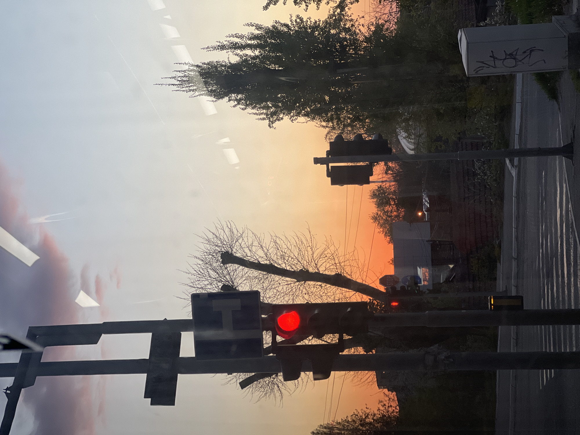 Red traffic light observed in Belgrade suburb