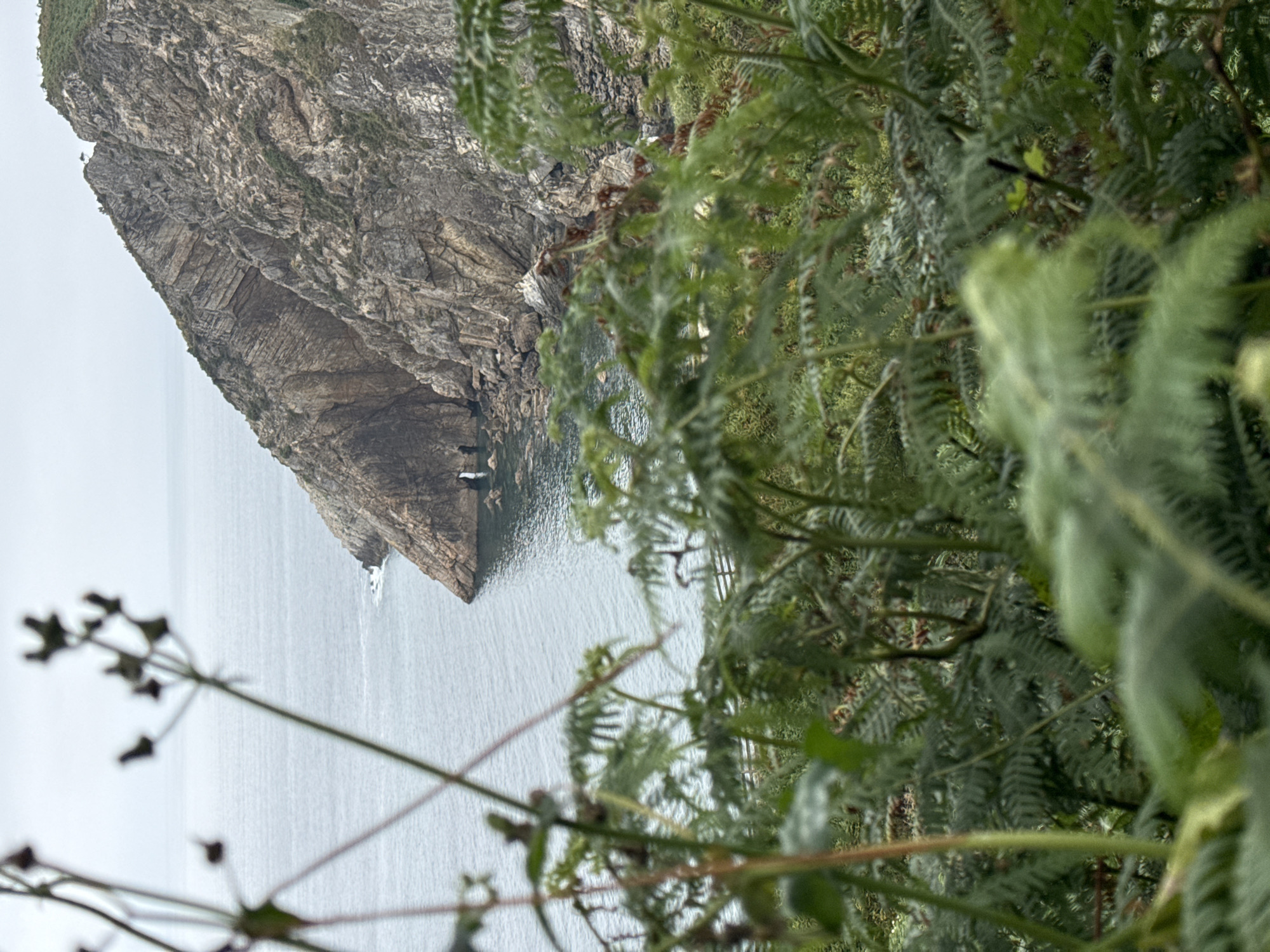 Rugged cliffs and green hillsides along the Cudillero coast