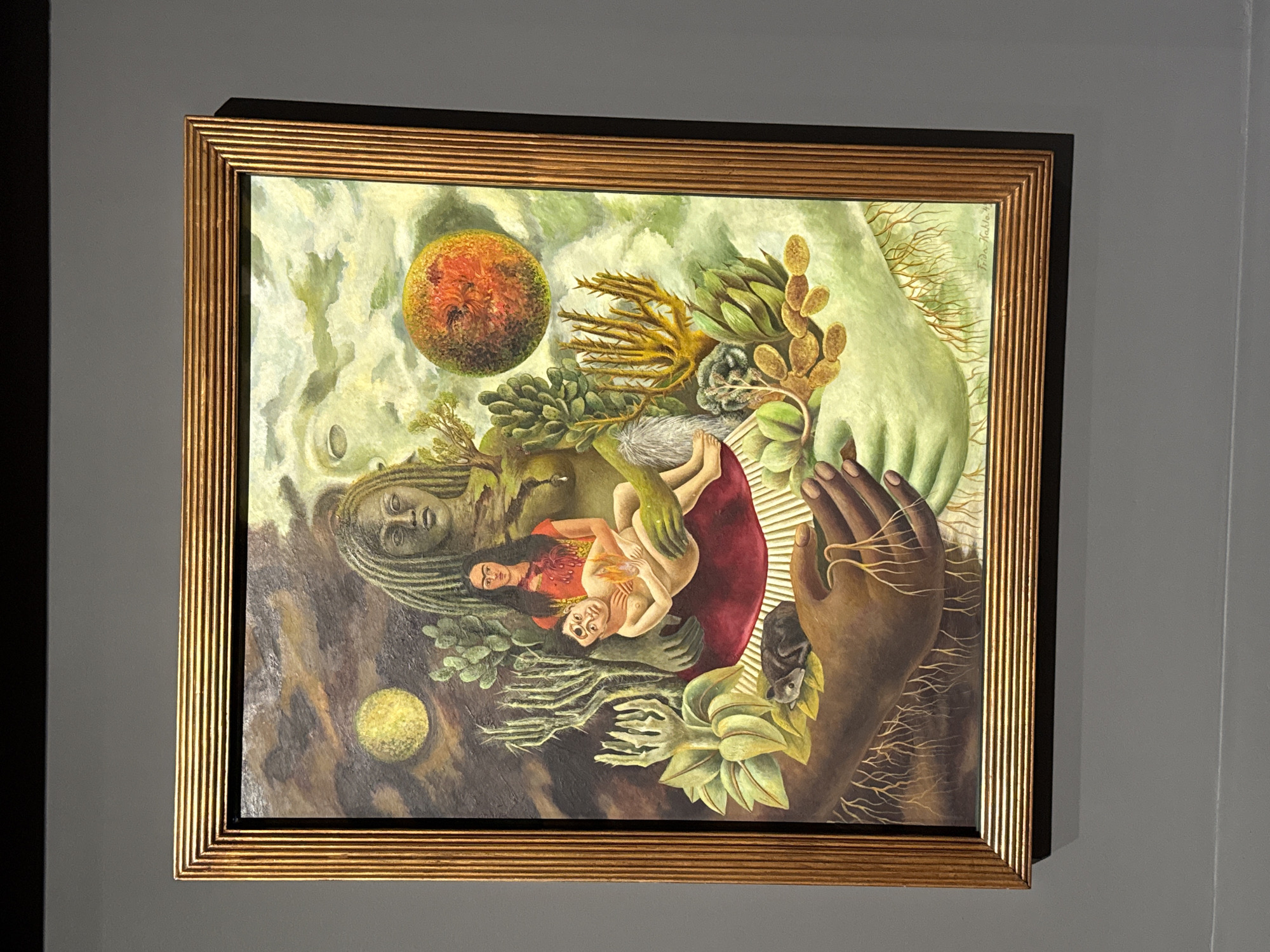 Art exhibition featuring Leonora Carrington works documented in Mexico City