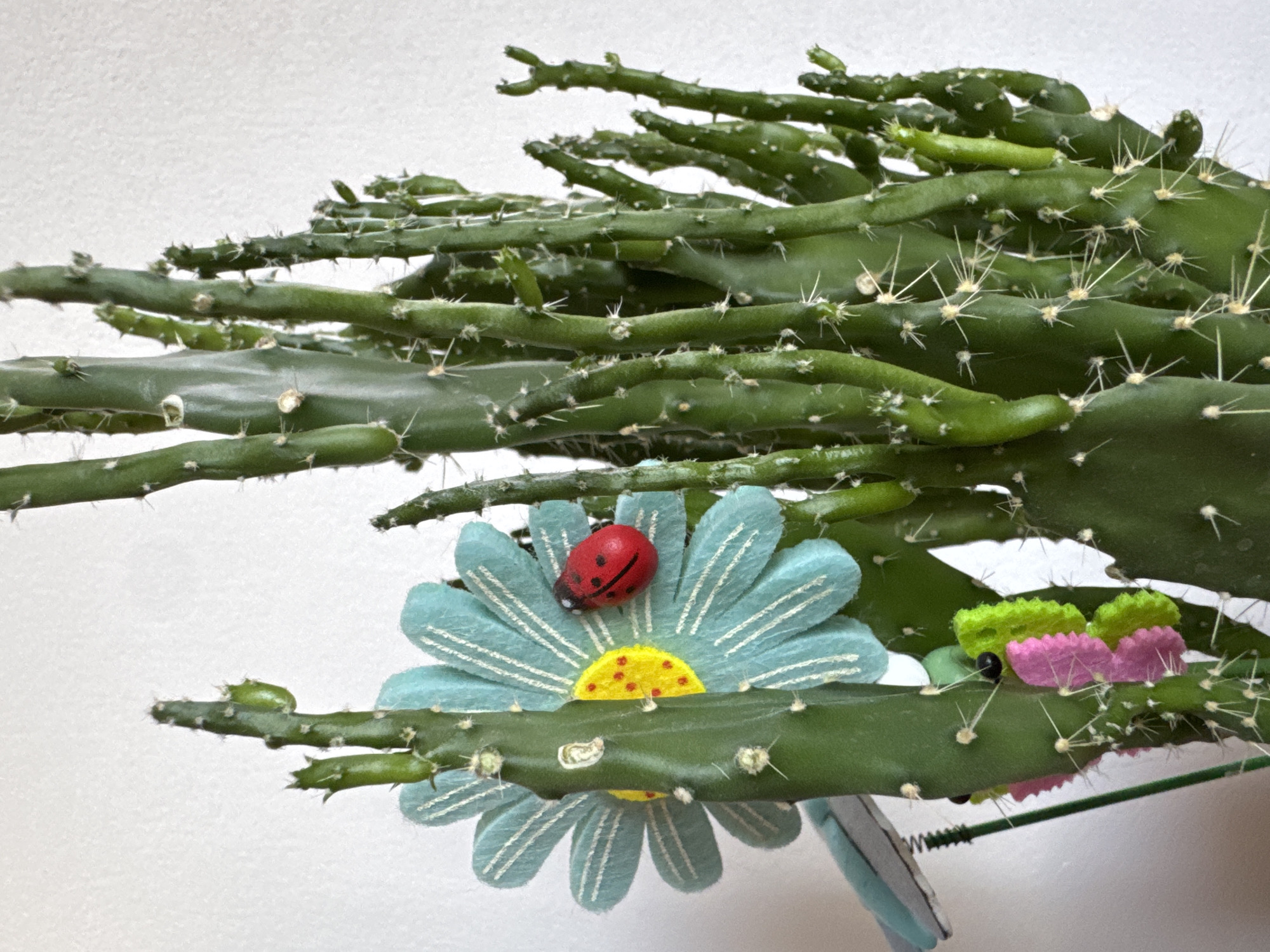 Morning around a Ruse neighborhood: apartments, parked cars, café, cacti