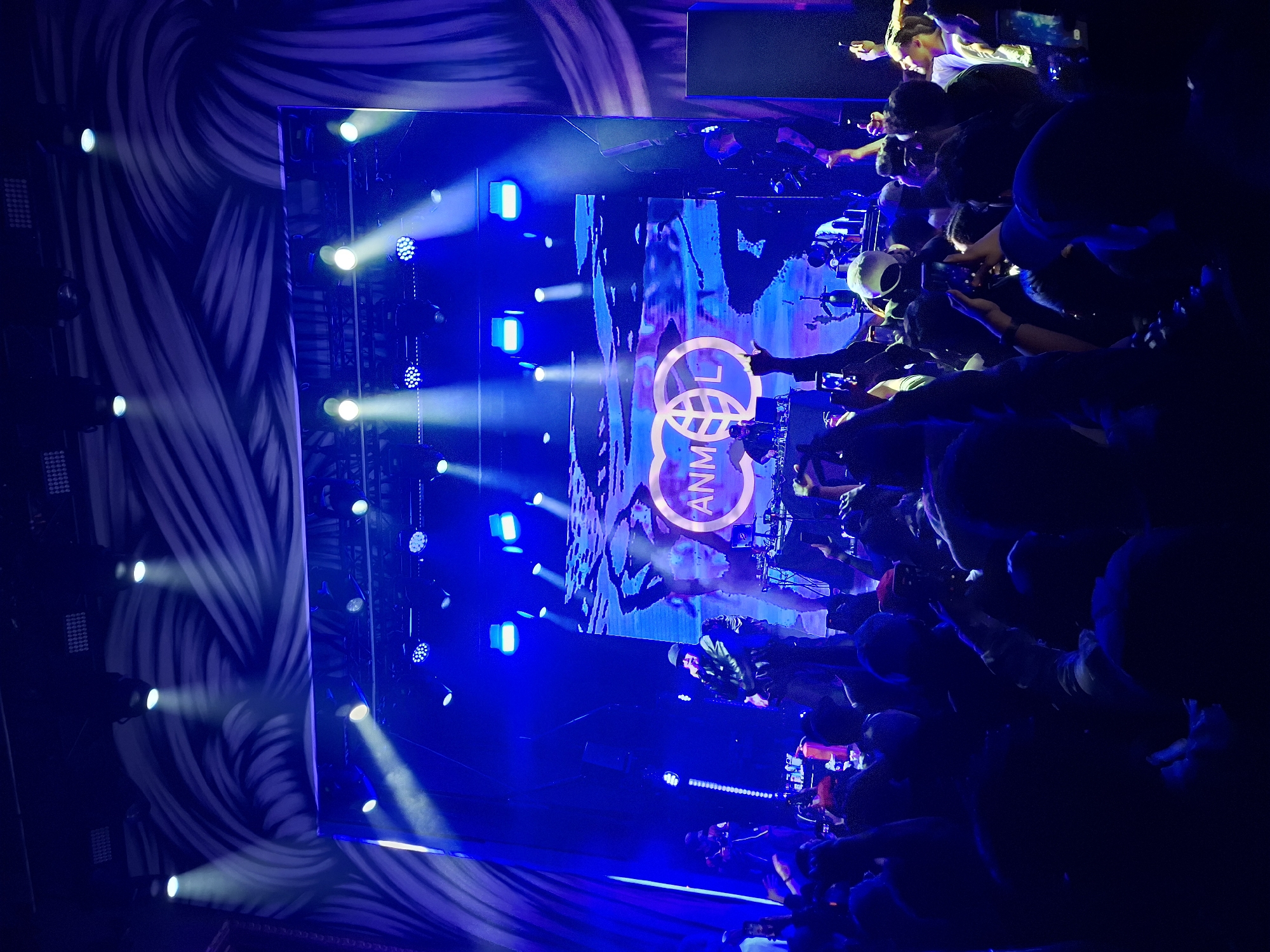 ANML concert draws crowds in Madrid evening performance