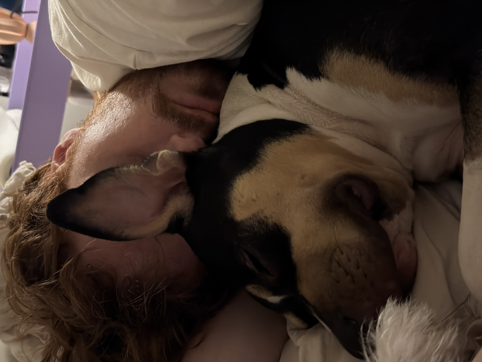 Person shares quiet moment with tri-colored dog in Tel Aviv