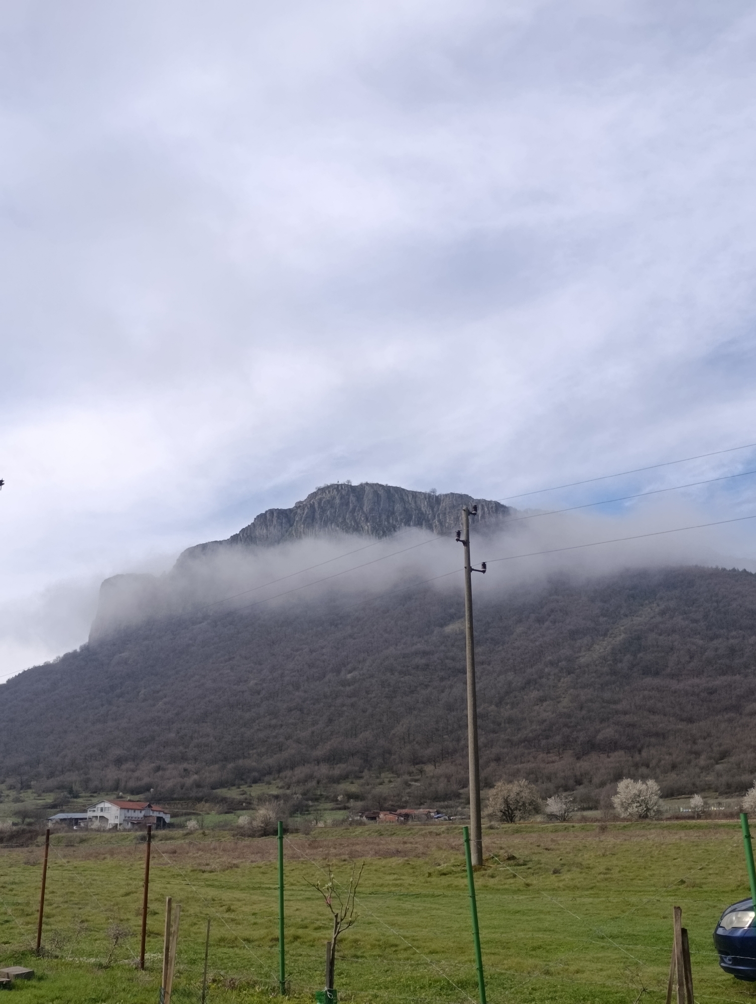 Morning pastoral documentation in Bulgarian countryside reveals spring awakening