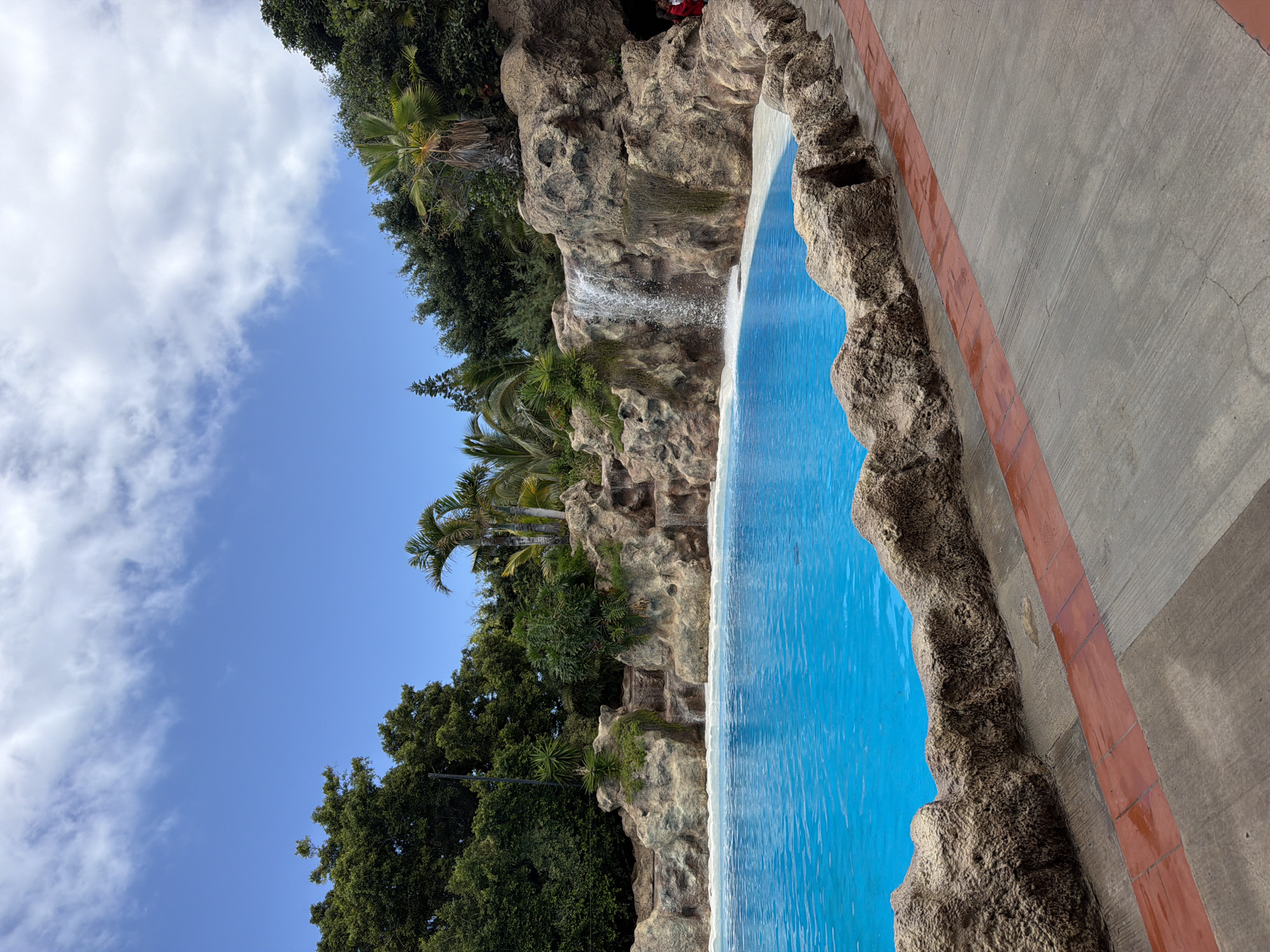 Inside Loro Parque: pools, dolphins, and a tropical morning