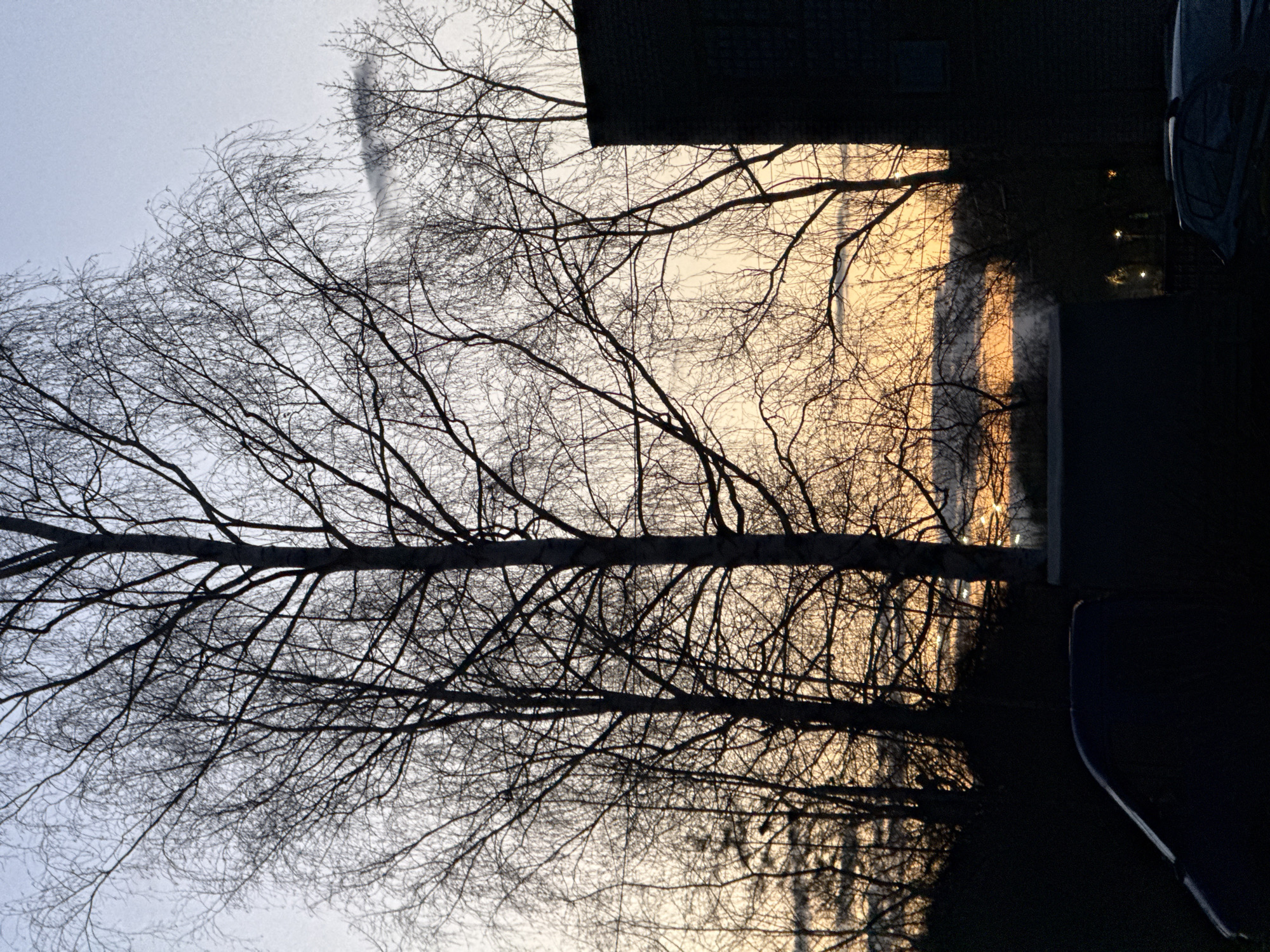 Urban twilight documented through smartphone photography and street scenes