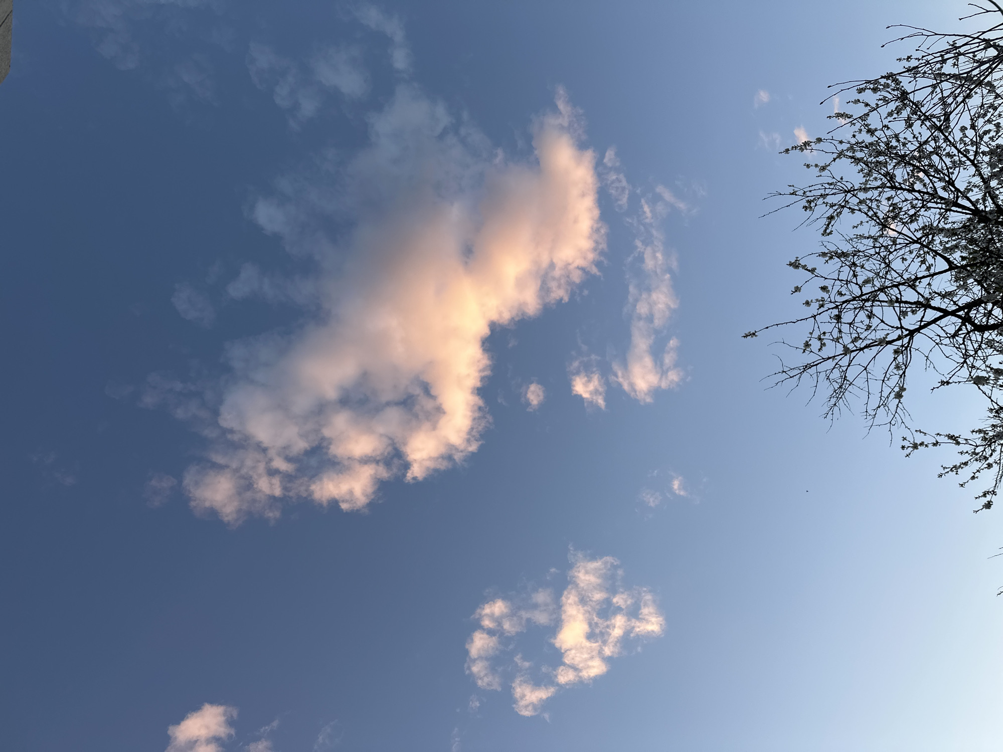 Spring afternoon sky observed in Marten, Bulgaria