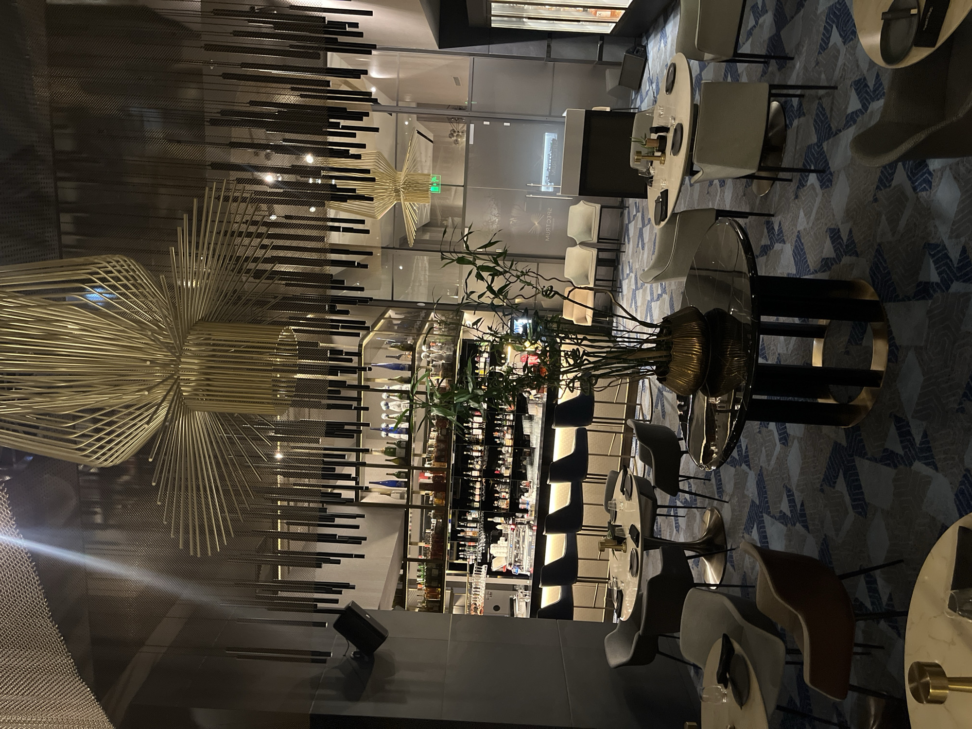 Upscale Sofia bar interior captured in evening documentation