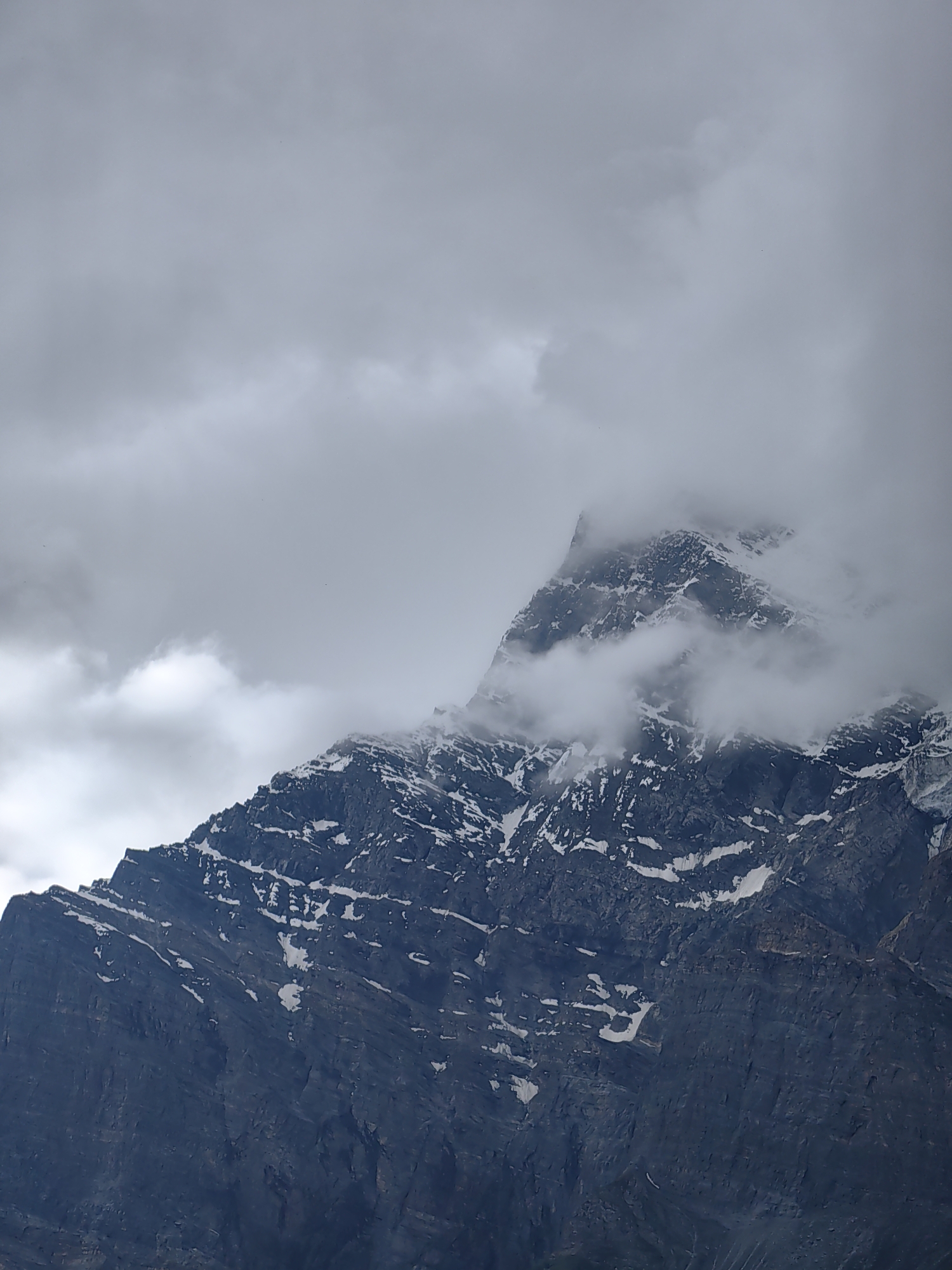 Roadside stop in Lahaul: mountain views and a friendly goat