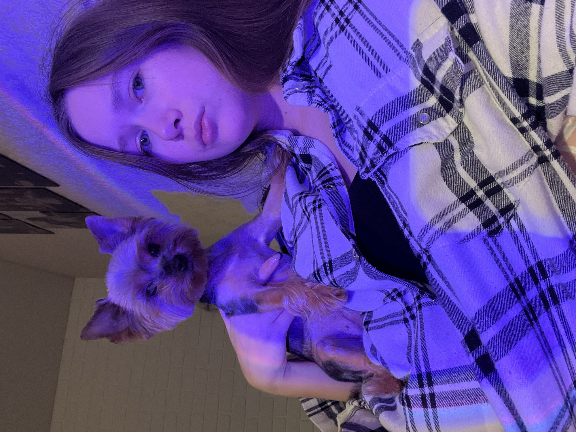 Woman photographs selfies with Yorkshire Terrier in Chaikovsky, Russia