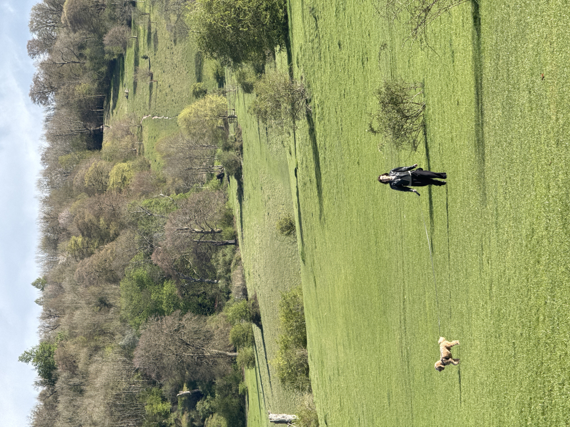 Ordinary afternoon moments documented across Dacorum countryside and suburbs