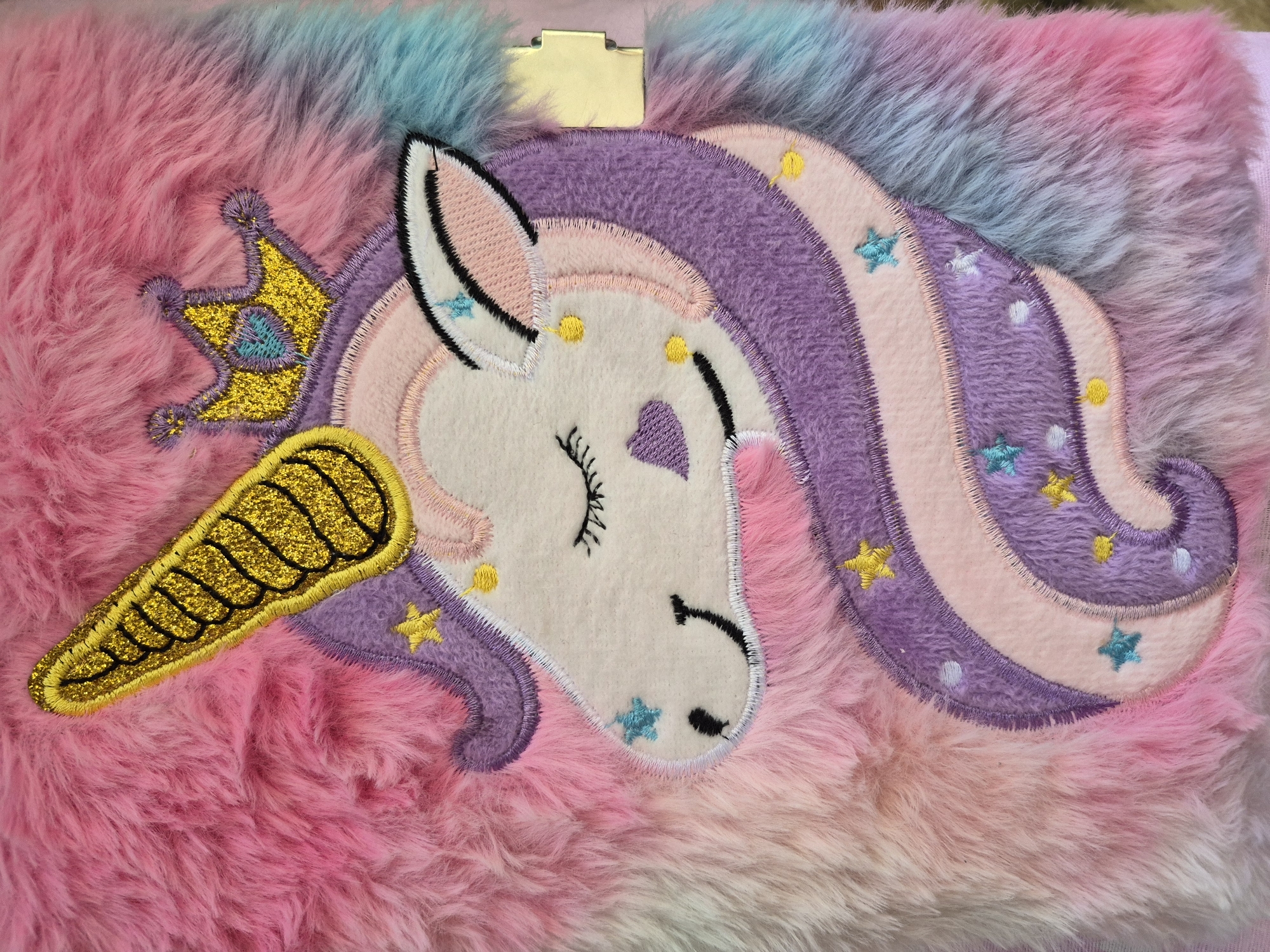 Plush notebook with colorful fibers observed in Tobolsk