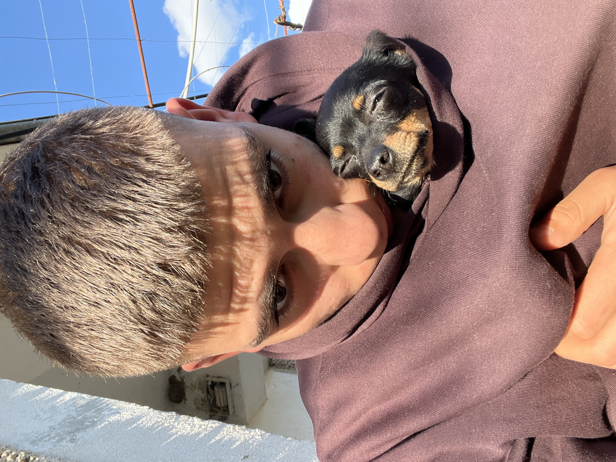 Person carries puppy in hoodie during afternoon moment