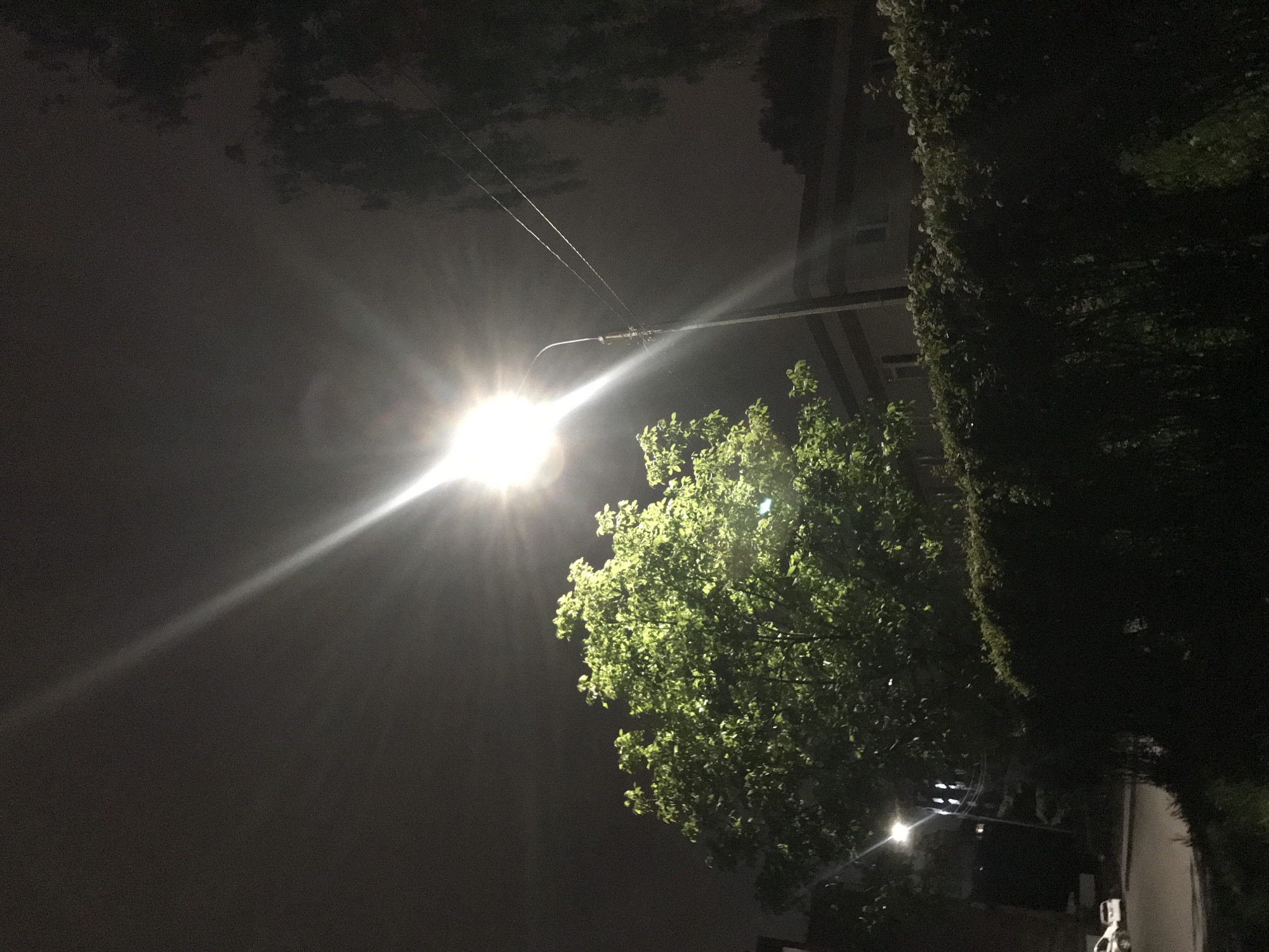 Evening stroll documented through illuminated Ternopil neighborhoods and parks
