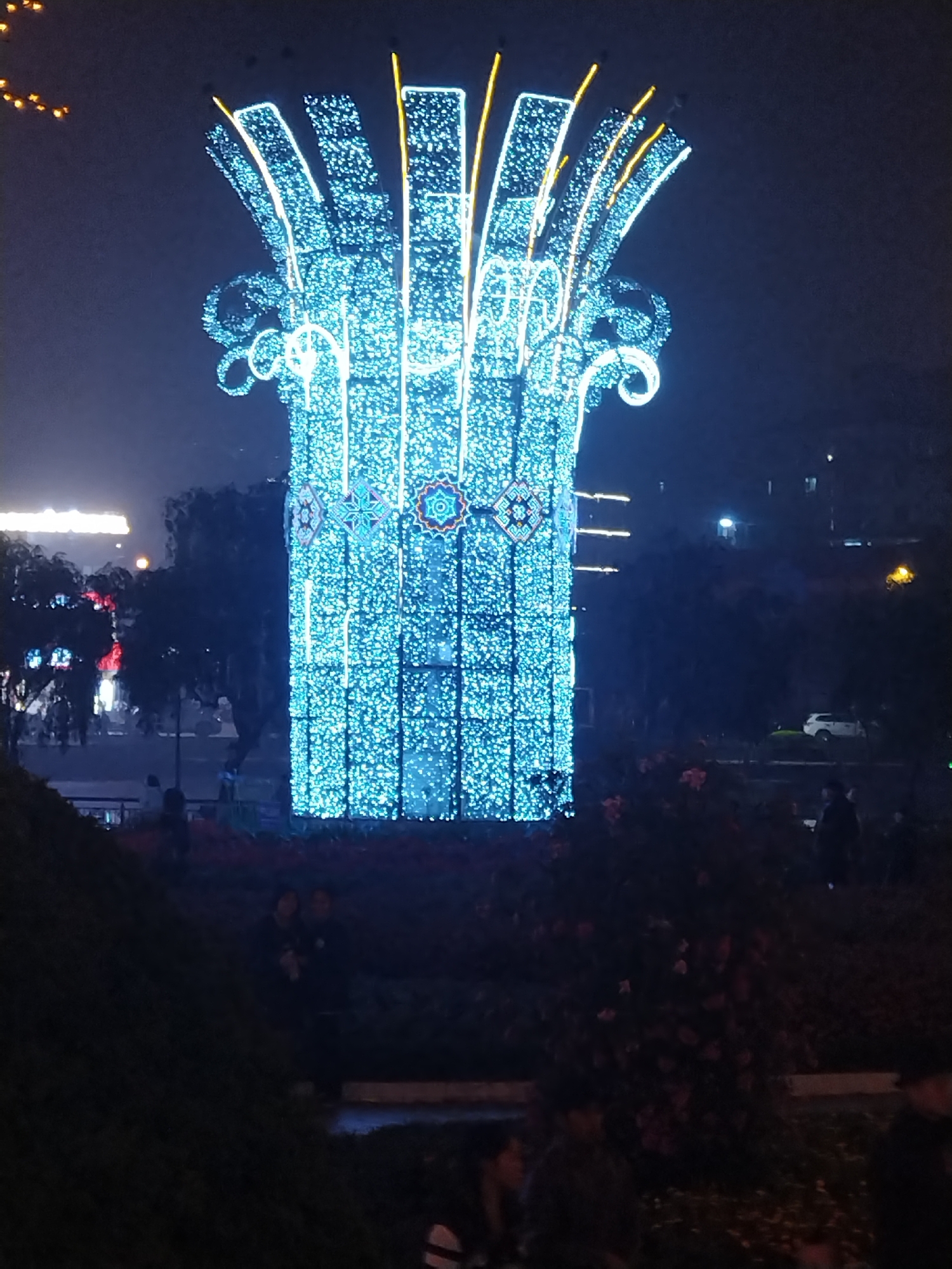 Holiday lights and beetles observed in Sa Pa Ward