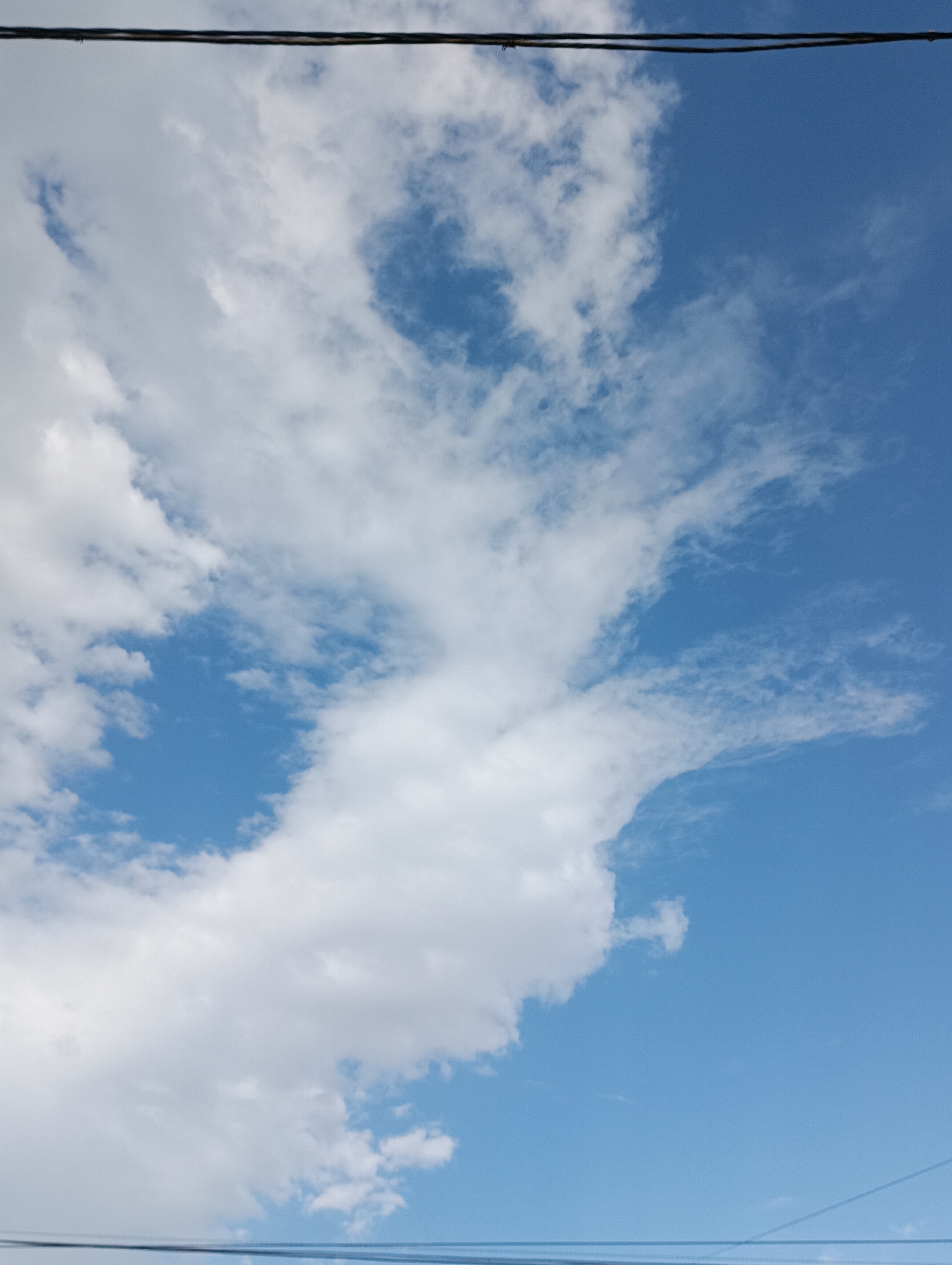 Garden details and summer skies in Bishkek