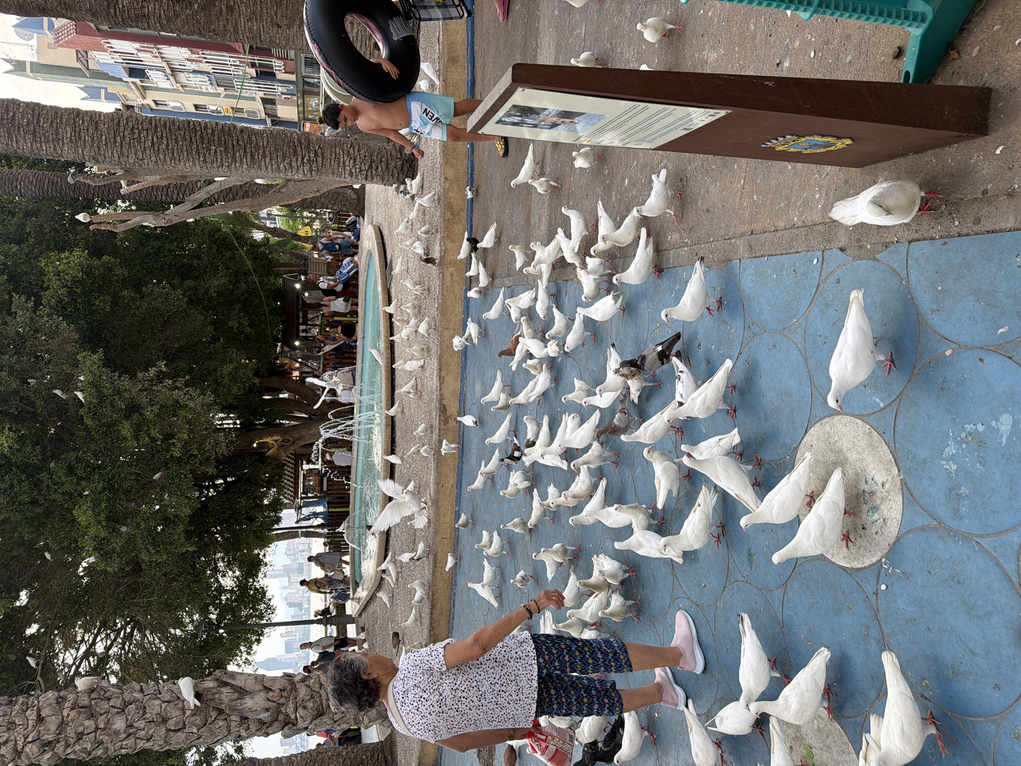 Afternoon scenes along Benidorm's busy promenade and streets