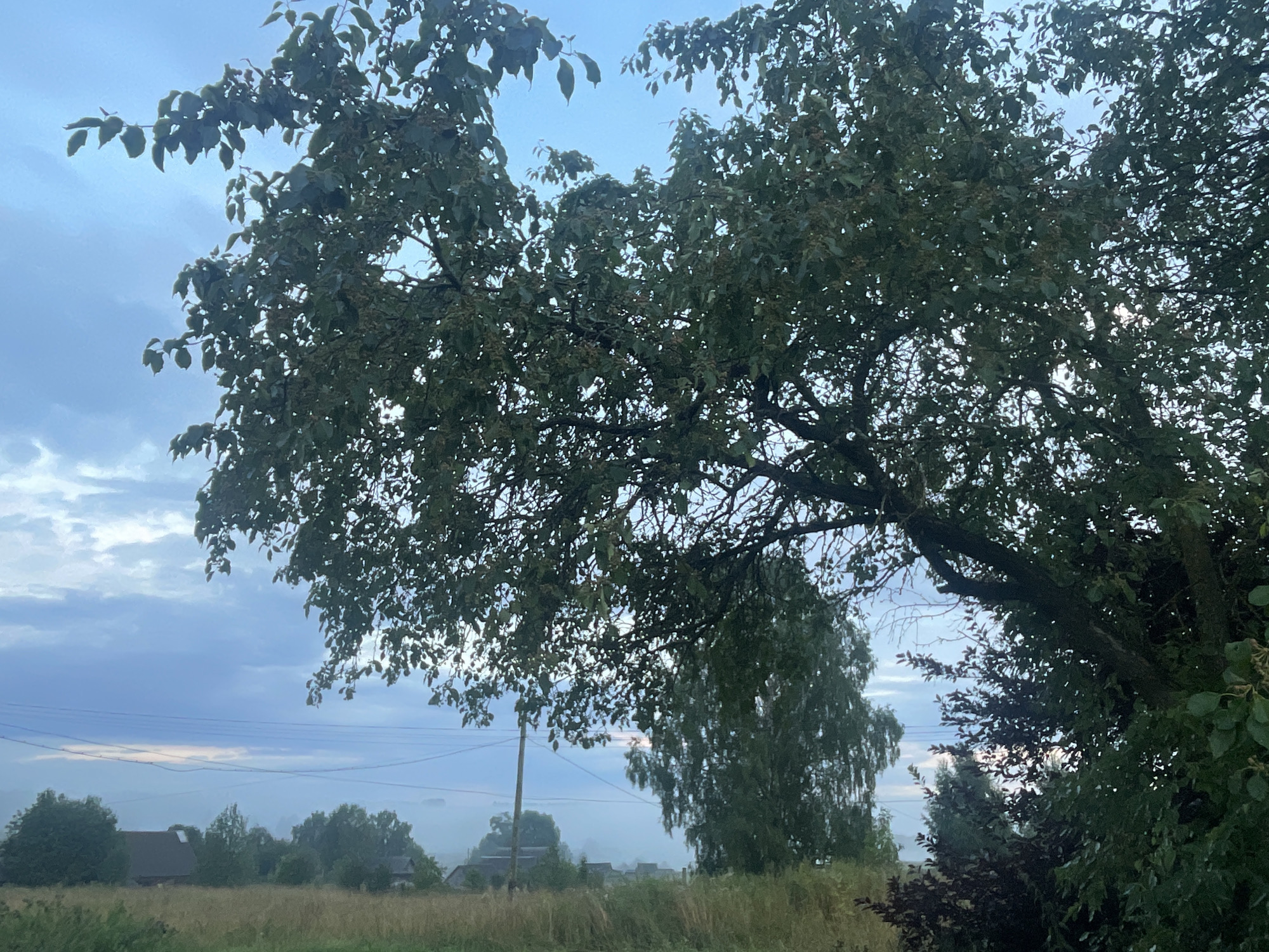 Dusk in a Russian village: hedgehog encounter and quiet rural scenes