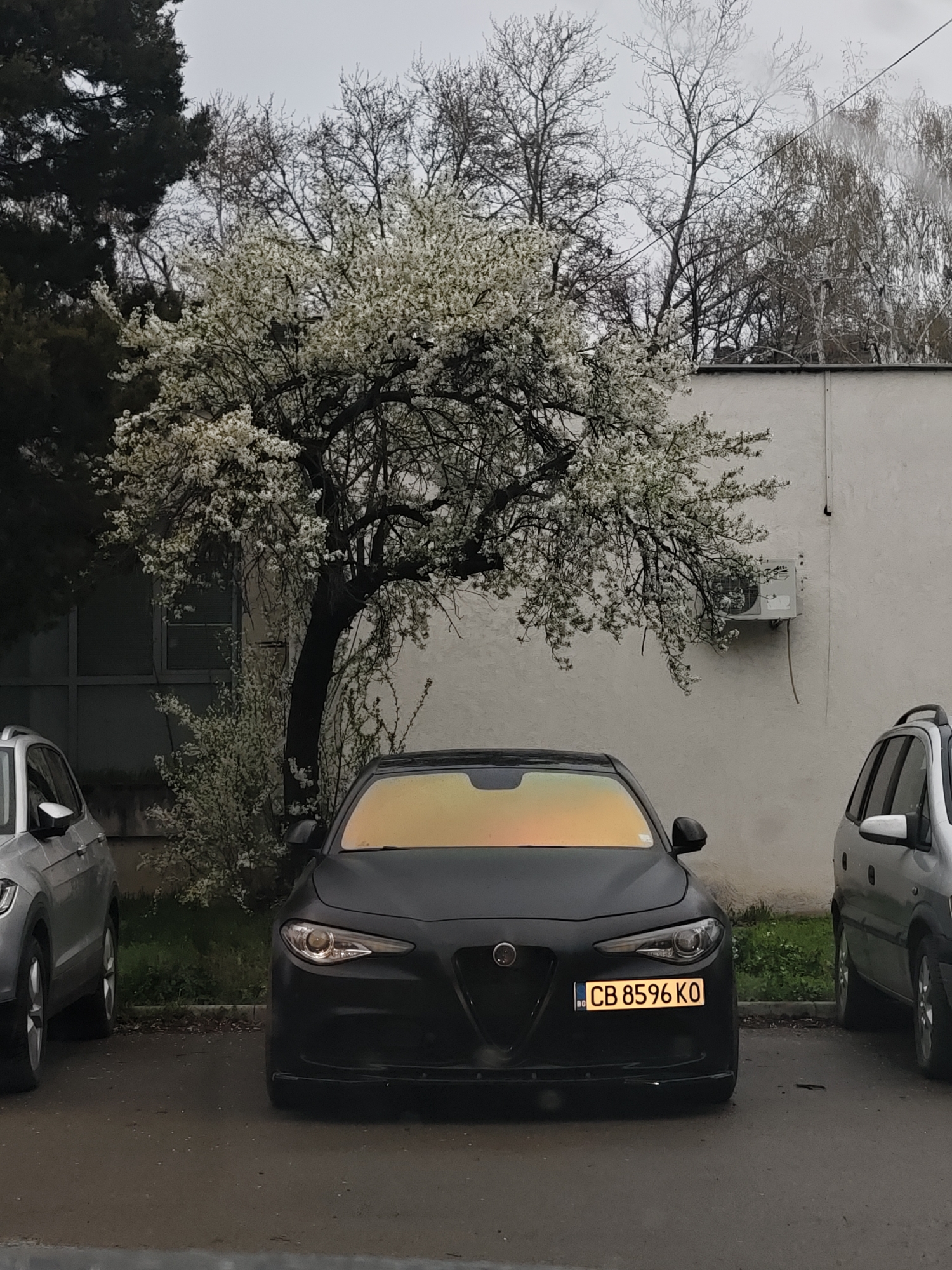 Black Alfa Romeo parked on street in Kozloduy, Bulgaria