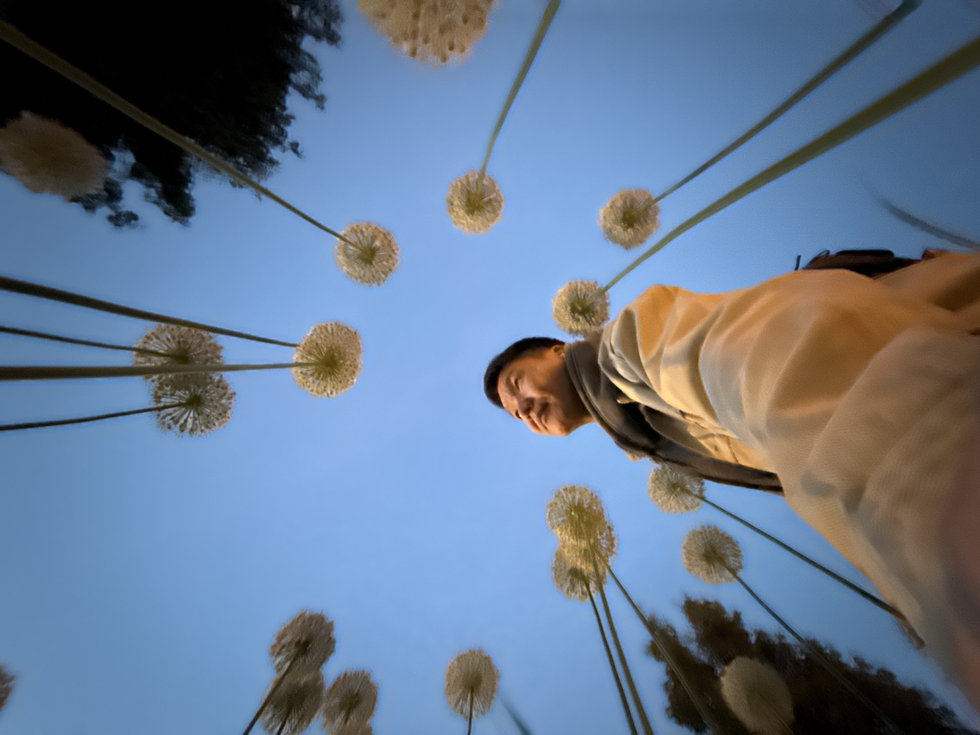 Man interacts with dandelion-like art installation in Moscow