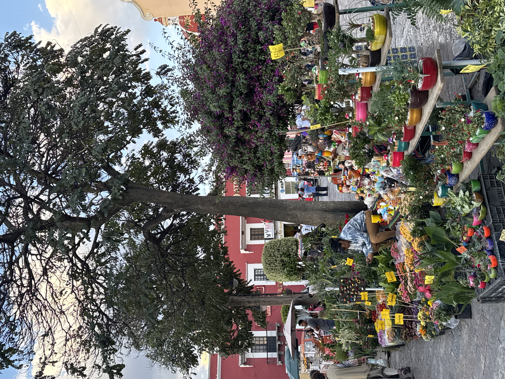 Street vendors sell plants, balloons in Atlixco market