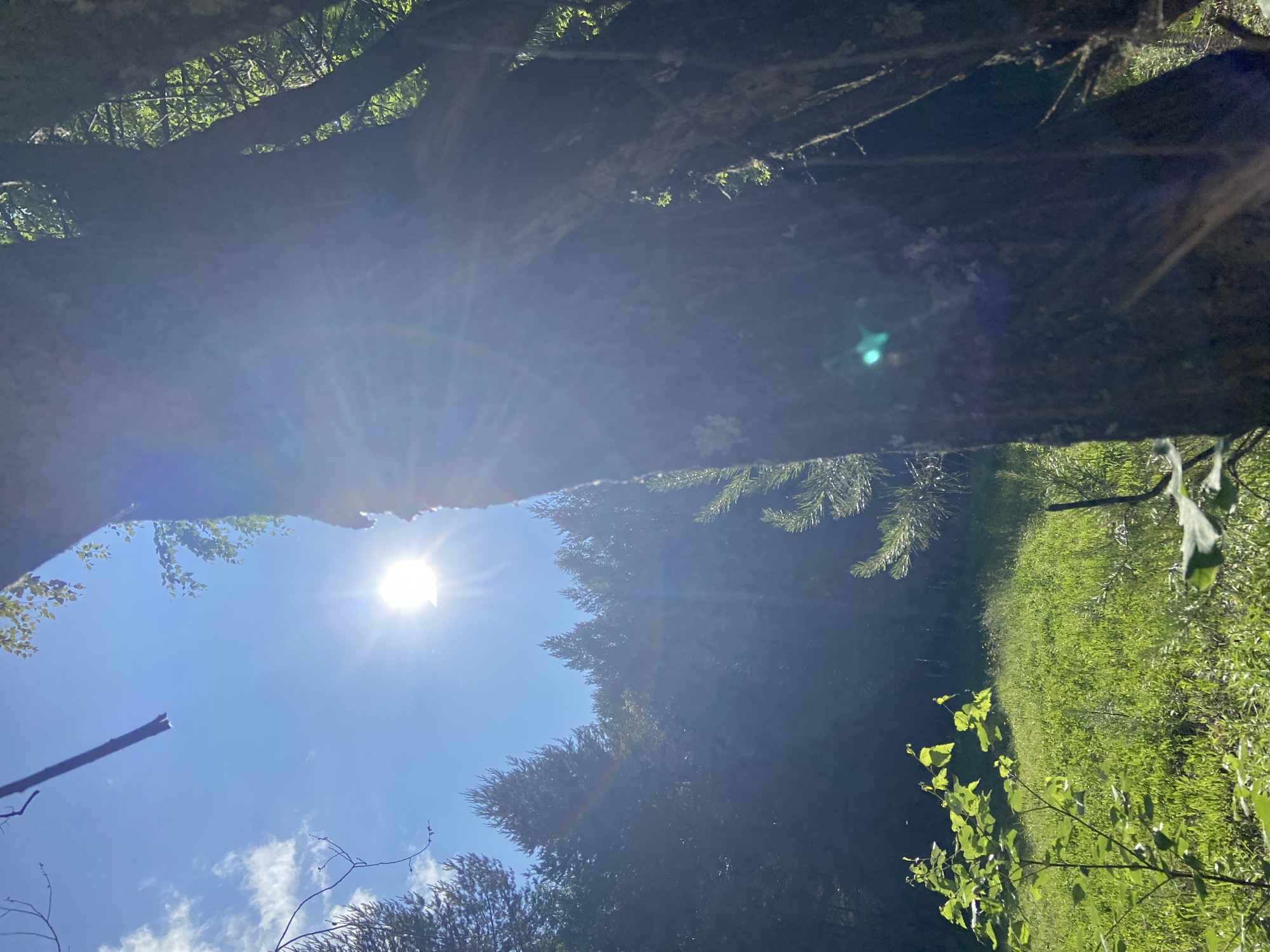 Cycling adventure with dog through Chaikovsky's forests and riverfront