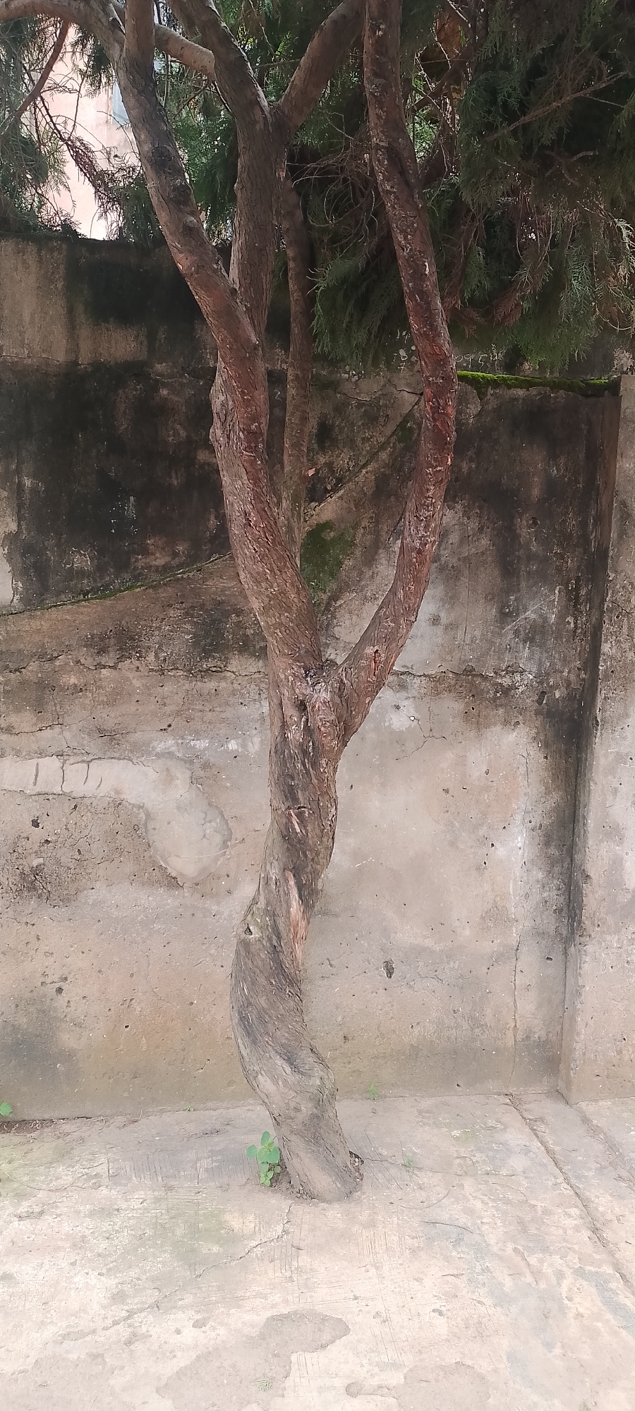 Lagos, Nigeria