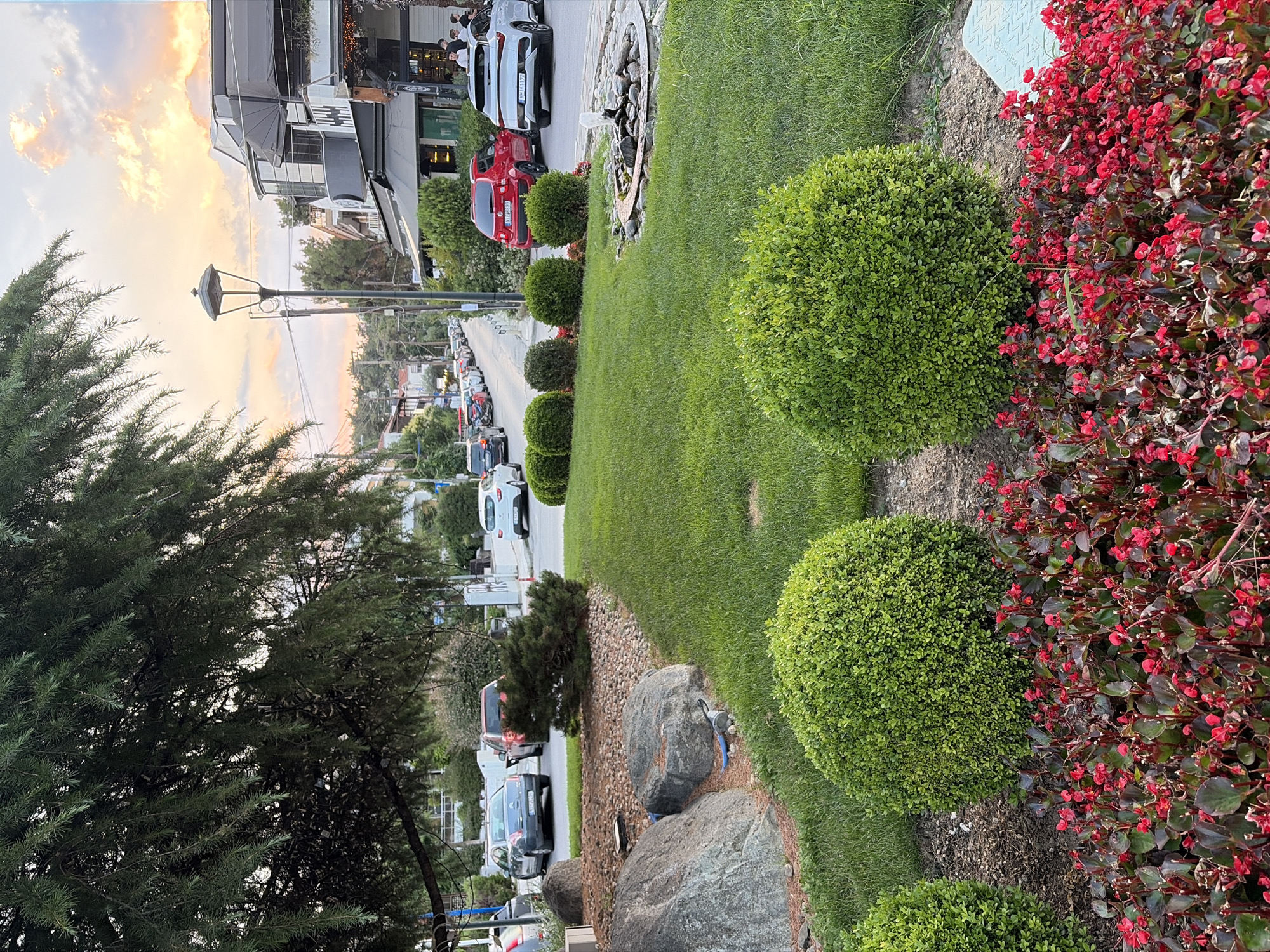 Evening stroll through Panorama's leafy suburban streets at sunset