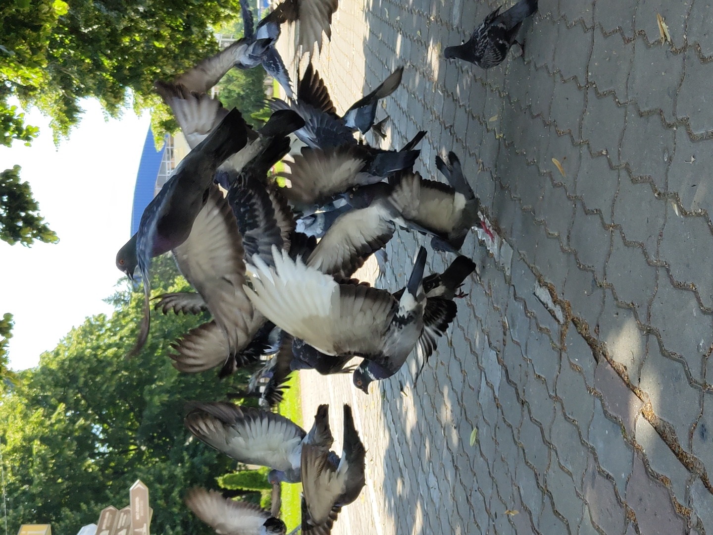 Sunny afternoon snapshots around Krasnodar's parks and waterfront