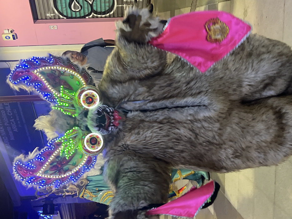 Traditional carnival festivities fill Arica streets with costumed performers