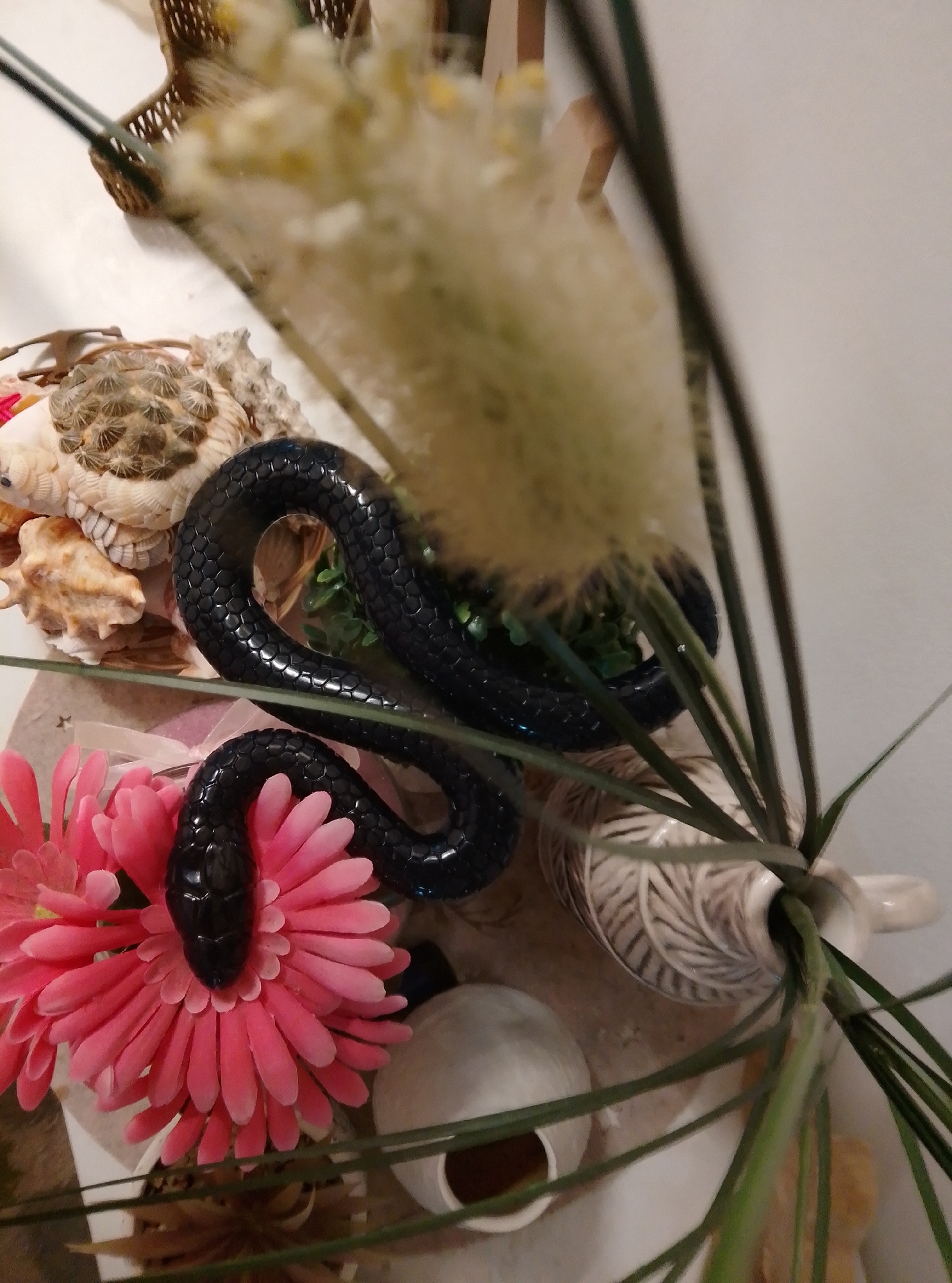 Toy snakes and home decor star in a Wedel photo session