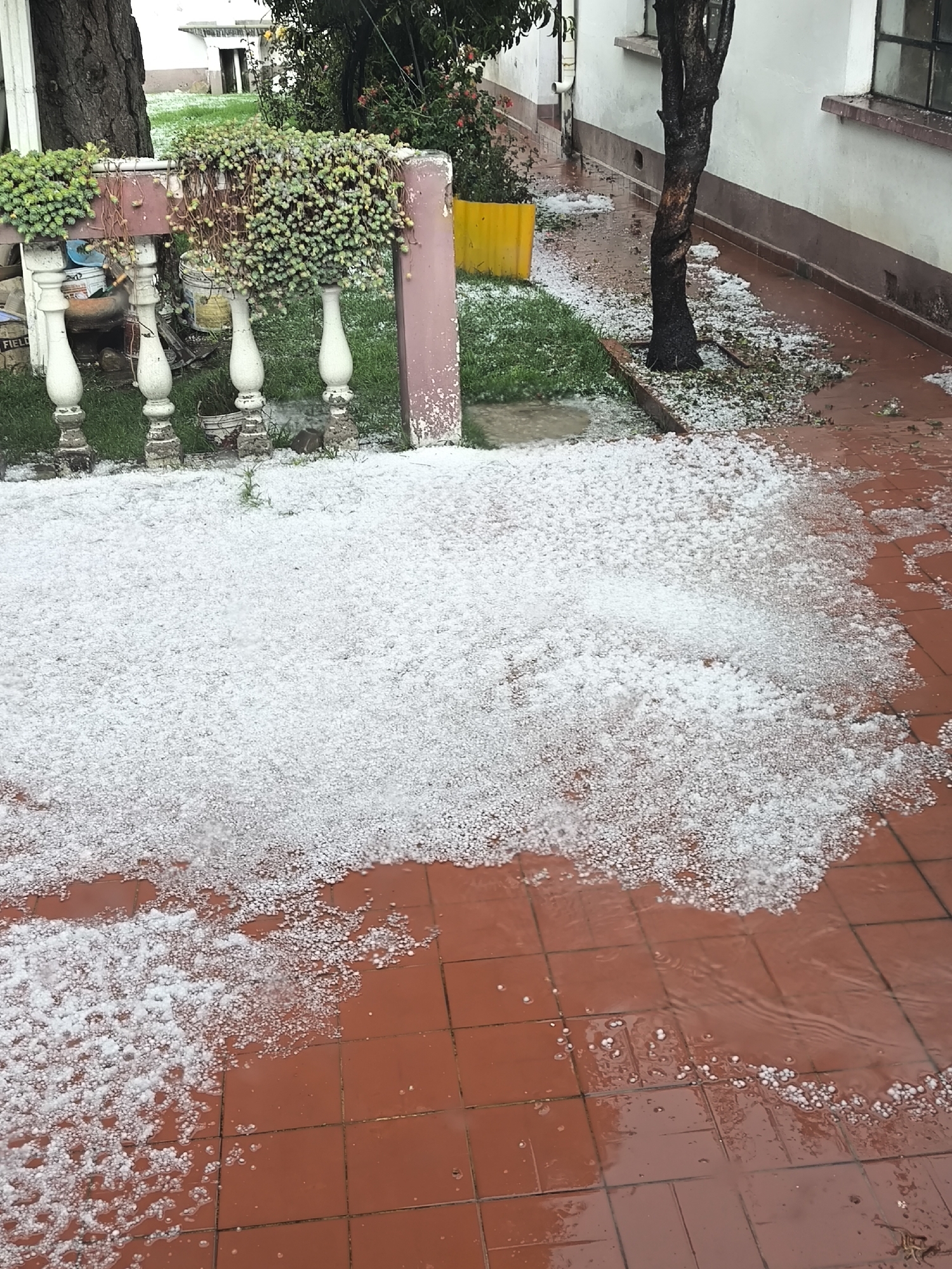 Hailstorm blankets La Paz patios and grounds with ice