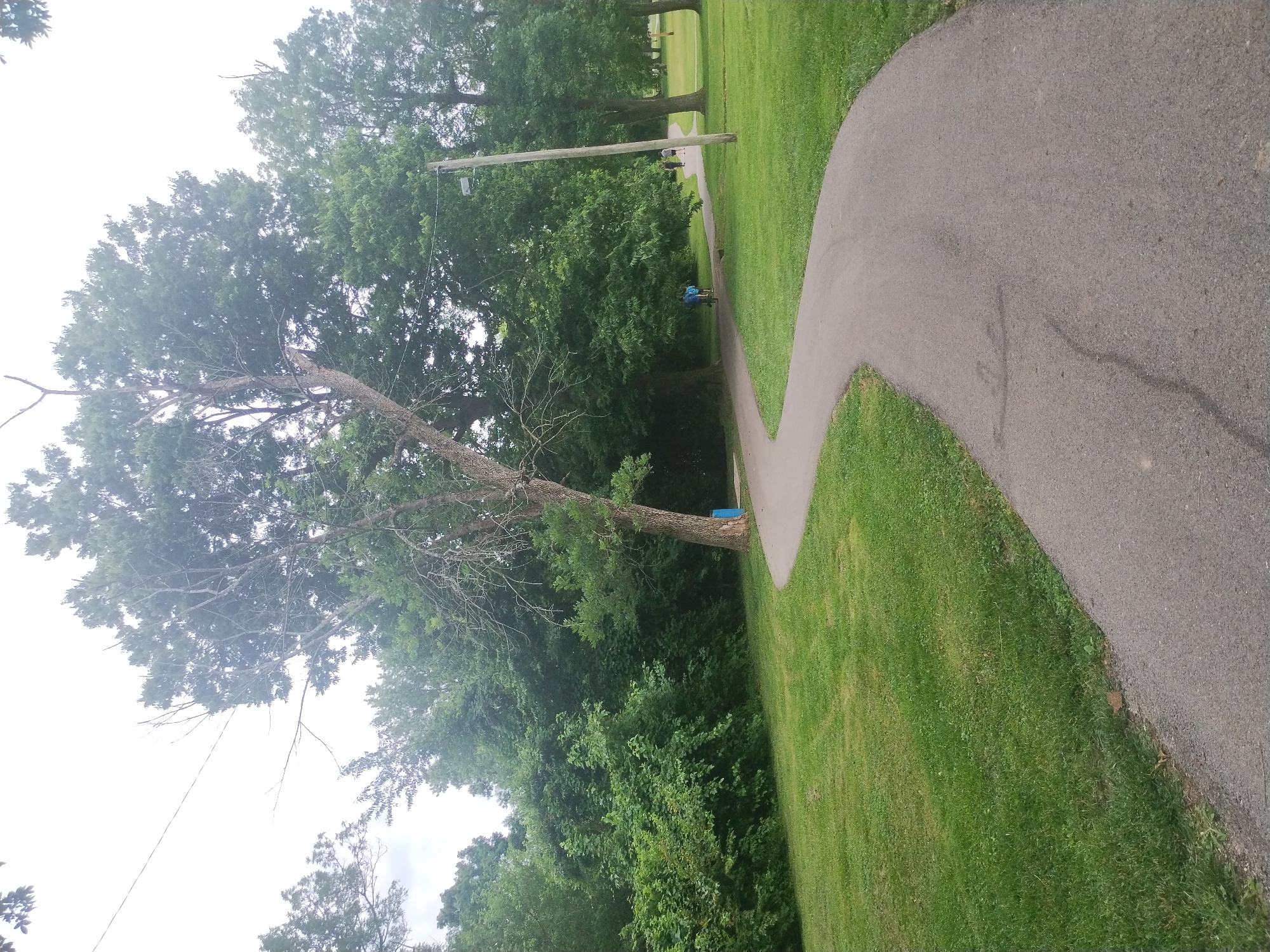Parks and quiet streets on a cloudy evening in Nicholasville