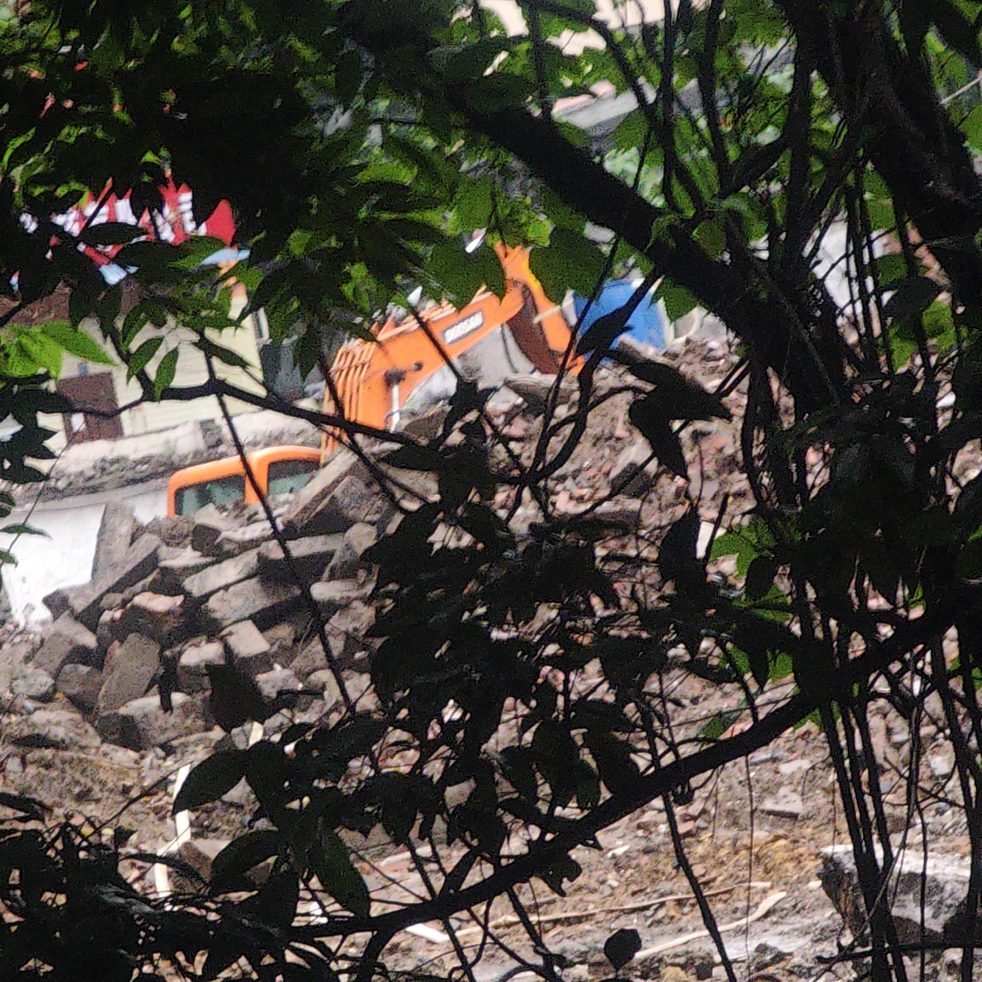 Residential building construction activity observed through tree foliage