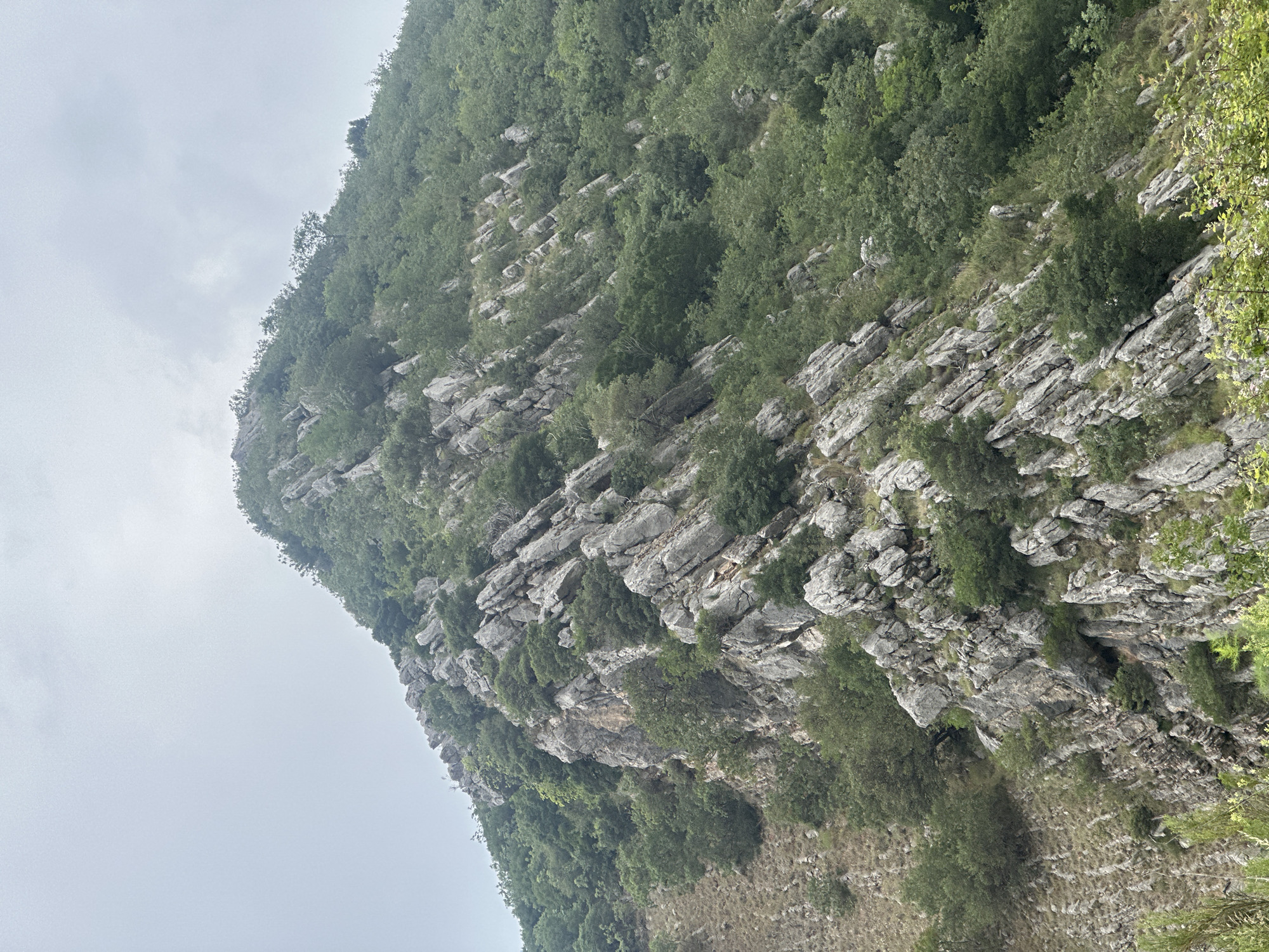 Rocky mountainside with vegetation observed near Rafailovići, Montenegro