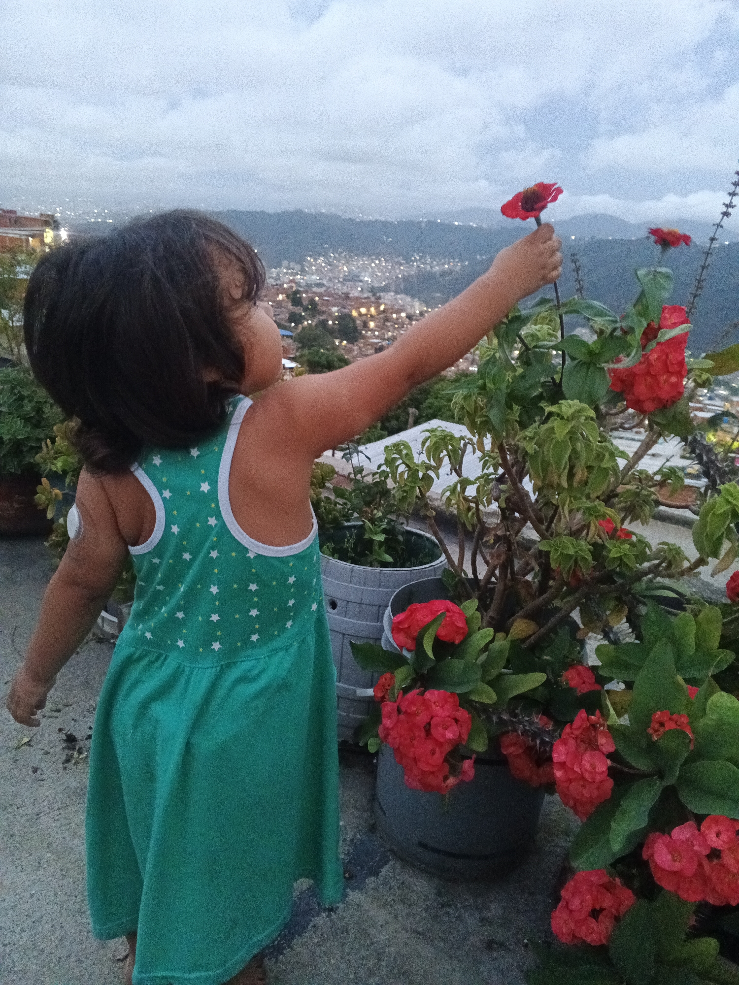 Rooftop evening in a Caracas barrio at dusk