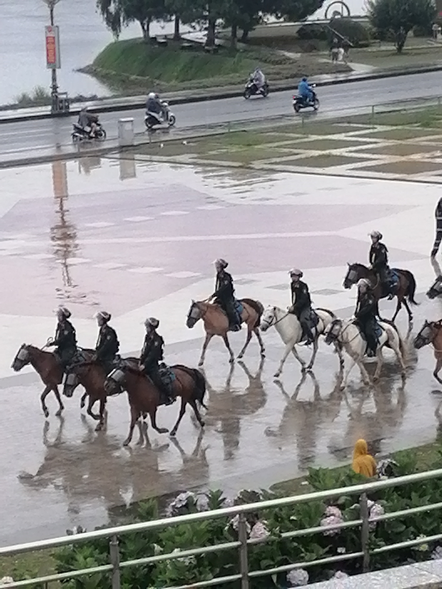 Rainy morning captures daily life across Da Lat, Vietnam