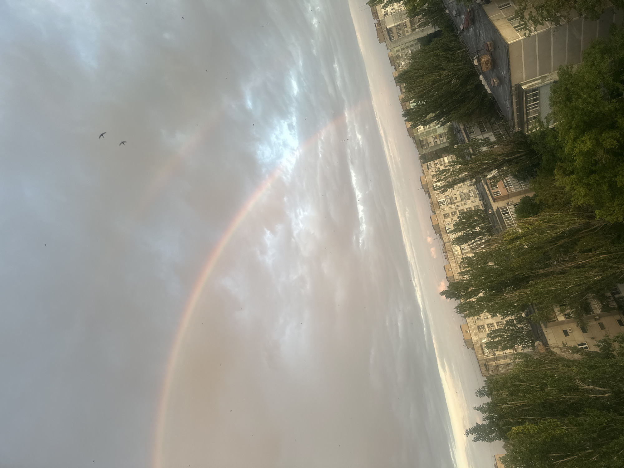Double rainbow over a cloudy city skyline