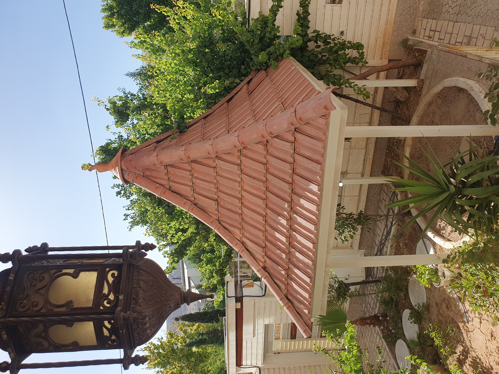 Ornate metal lantern observed in sunny garden setting
