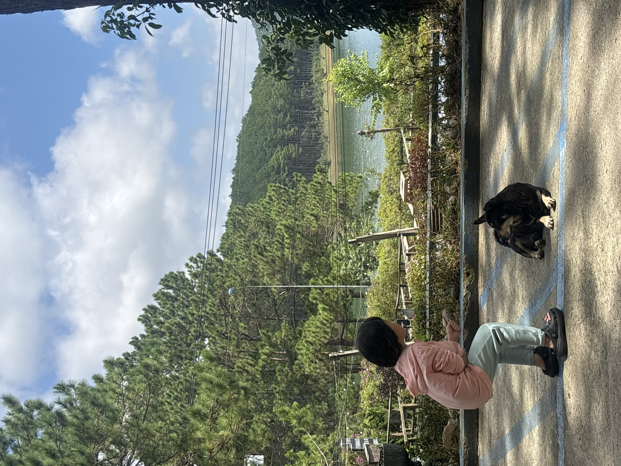 Quiet morning at a Da Lat retreat among pines and garden statues