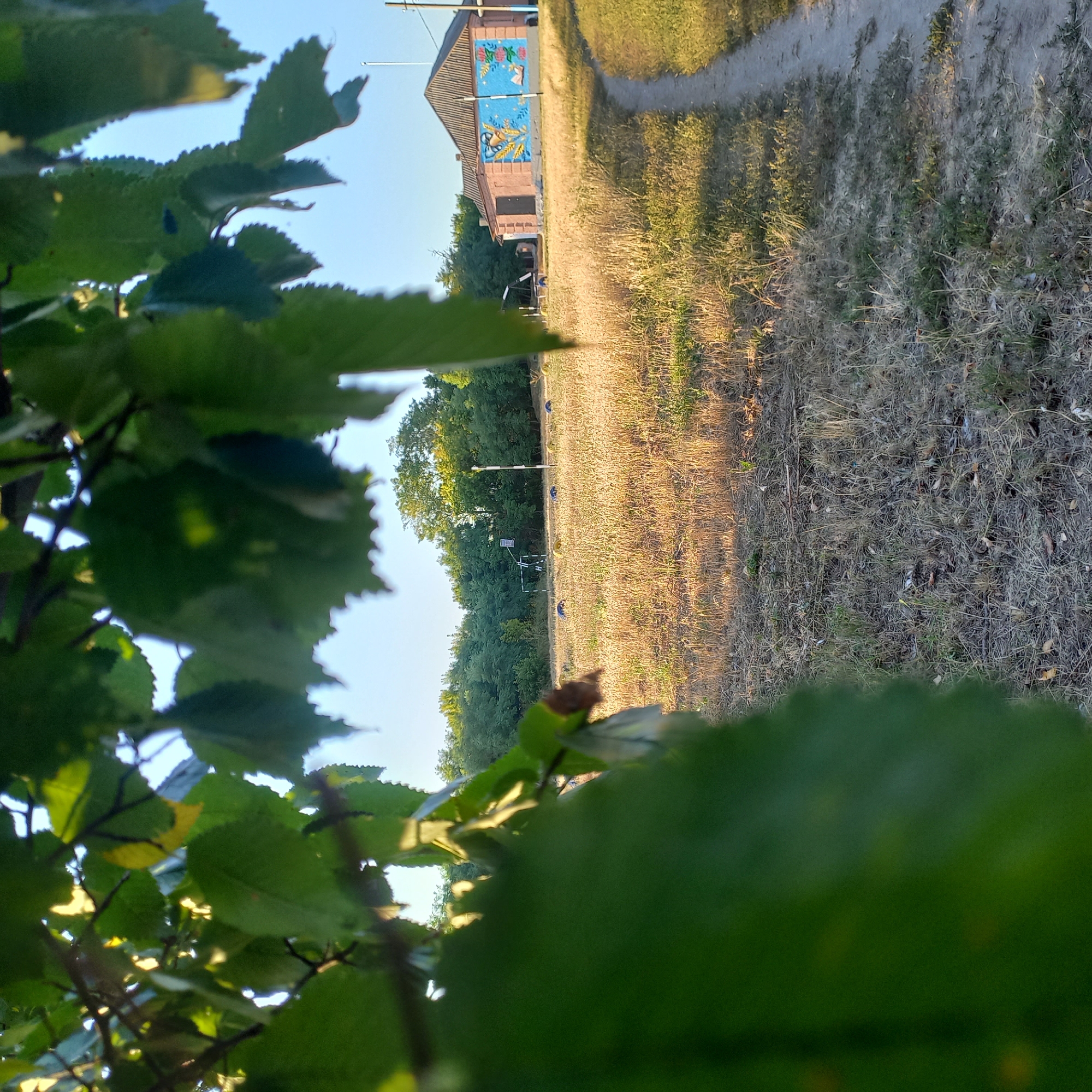 Klyntsi public space: folk murals, painted fences, summer afternoon