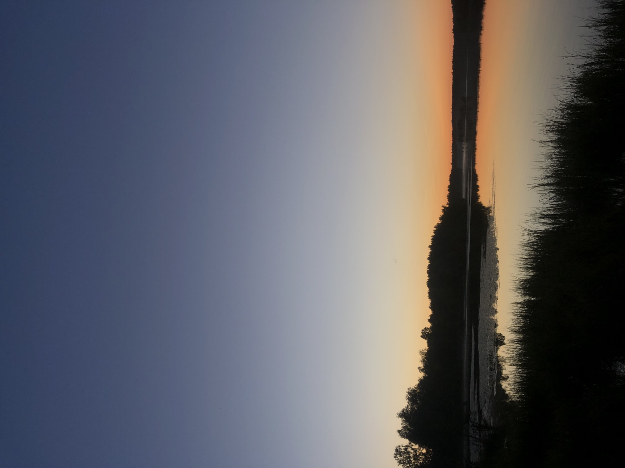 Lake at dusk, treeline and sky reflected on still water