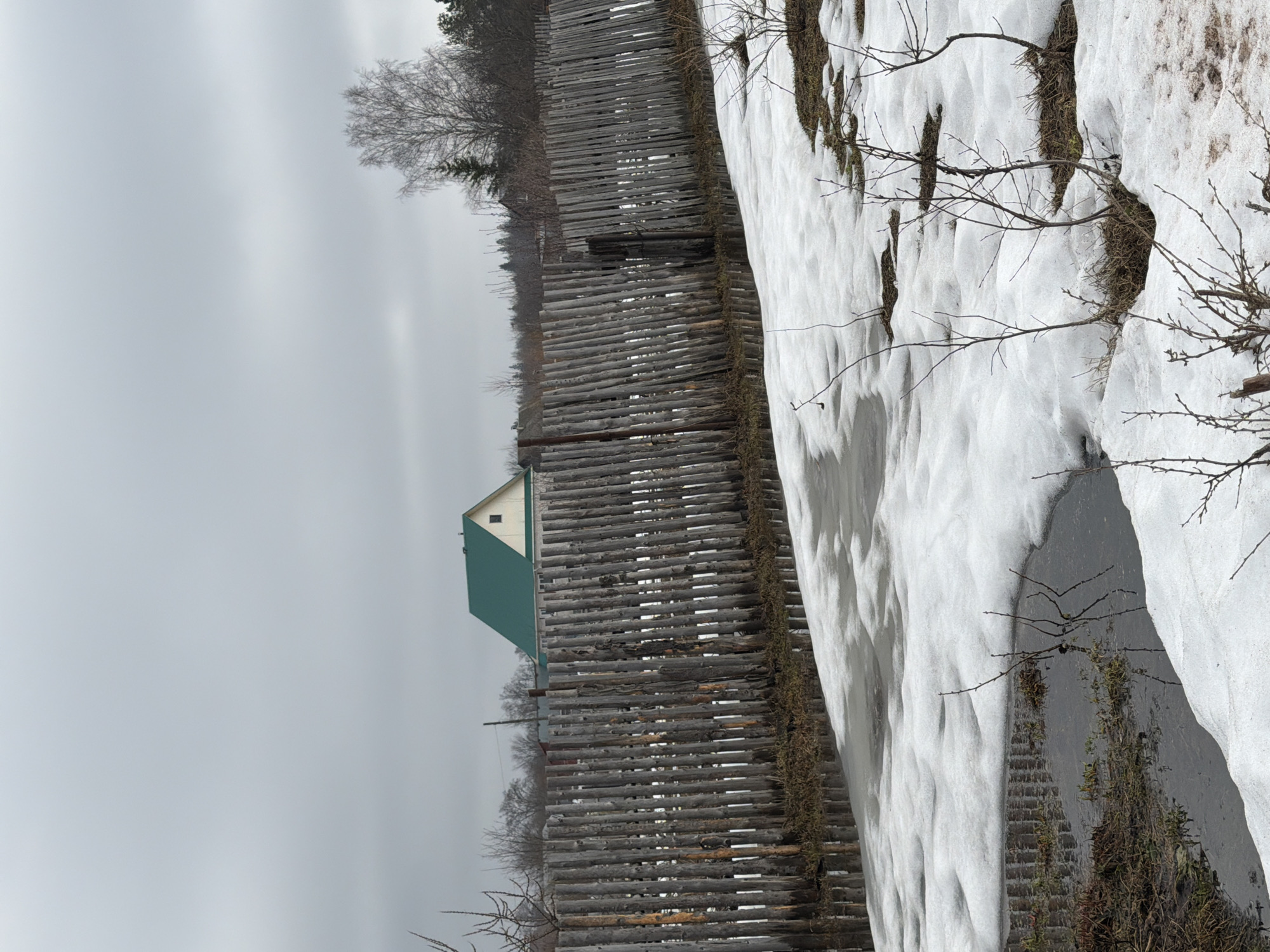Rural winter scene documented in Igra, Russia features chained dog