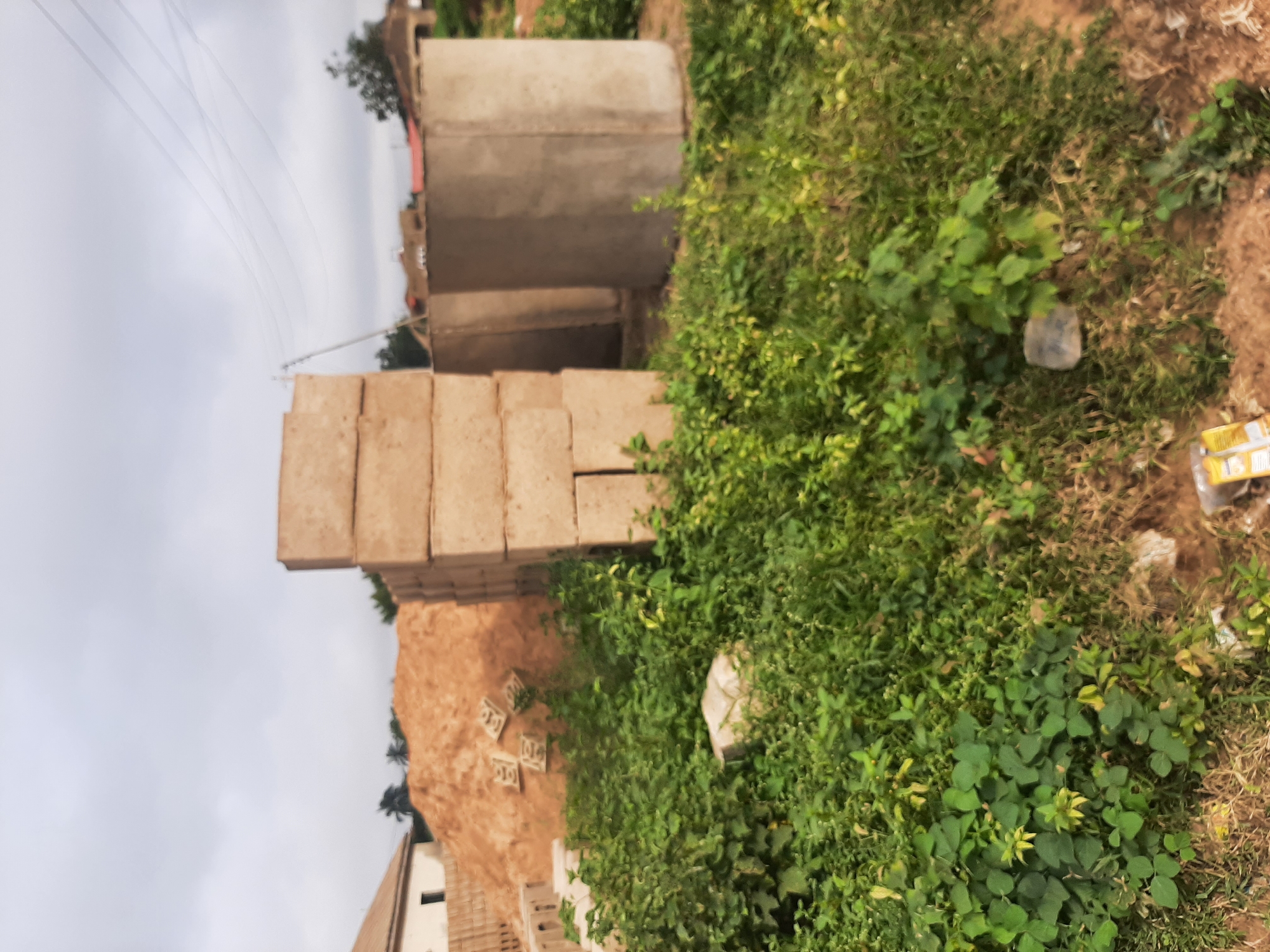 Construction and overgrowth along Ogbomosho's neighborhood fringe
