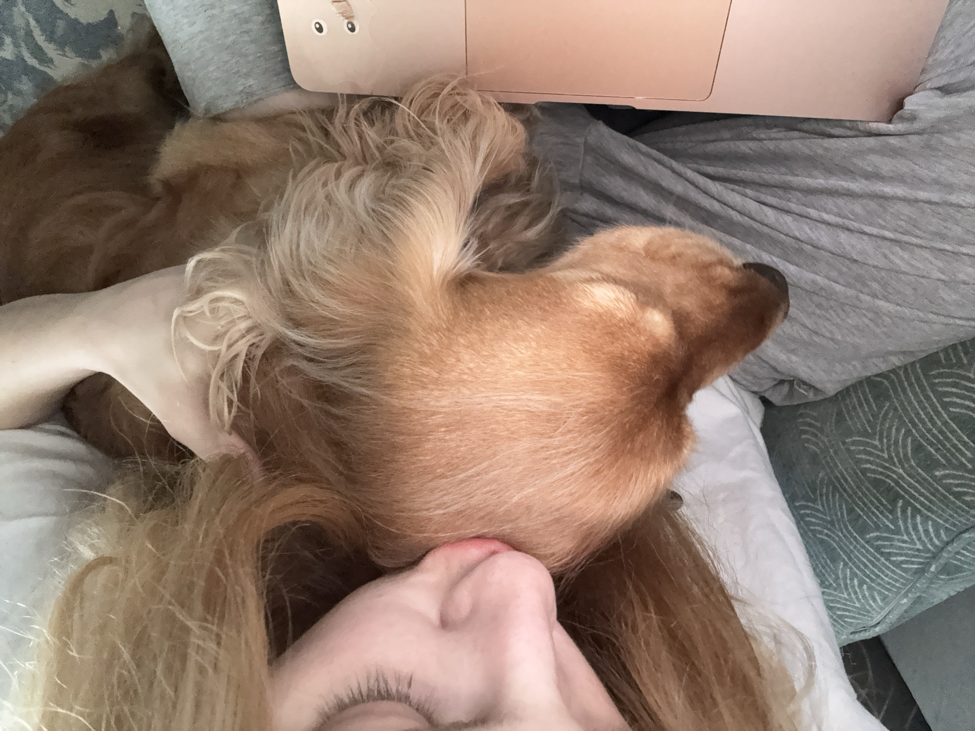 Lazy afternoon with a golden dog, shot from every angle