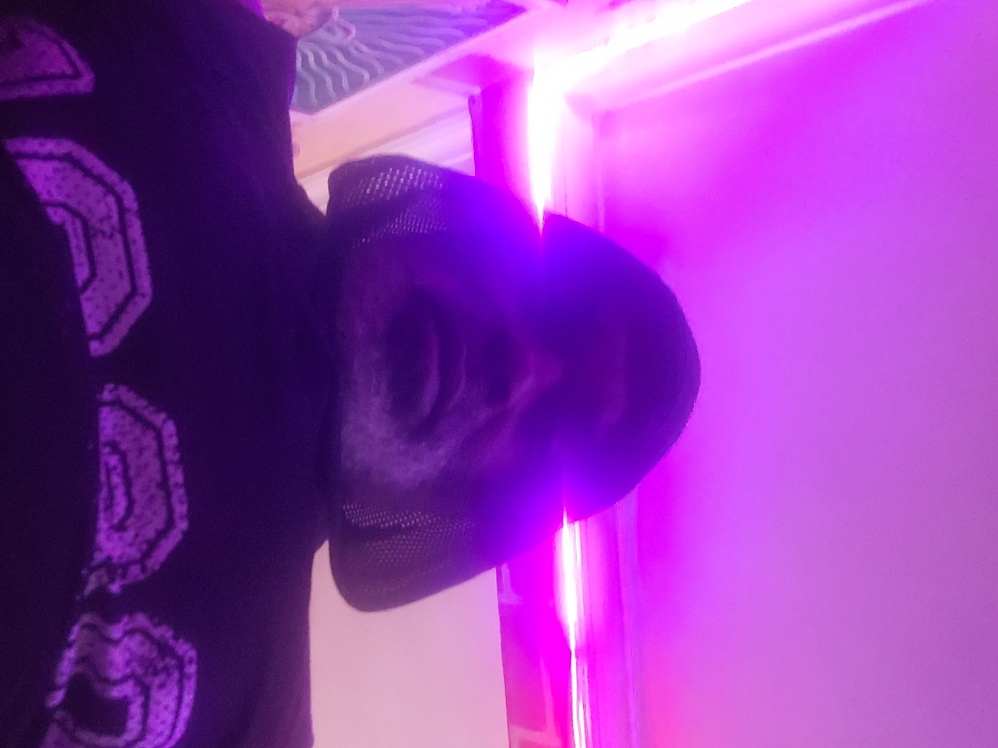 Person in purple-accented hoodie spotted indoors in city location