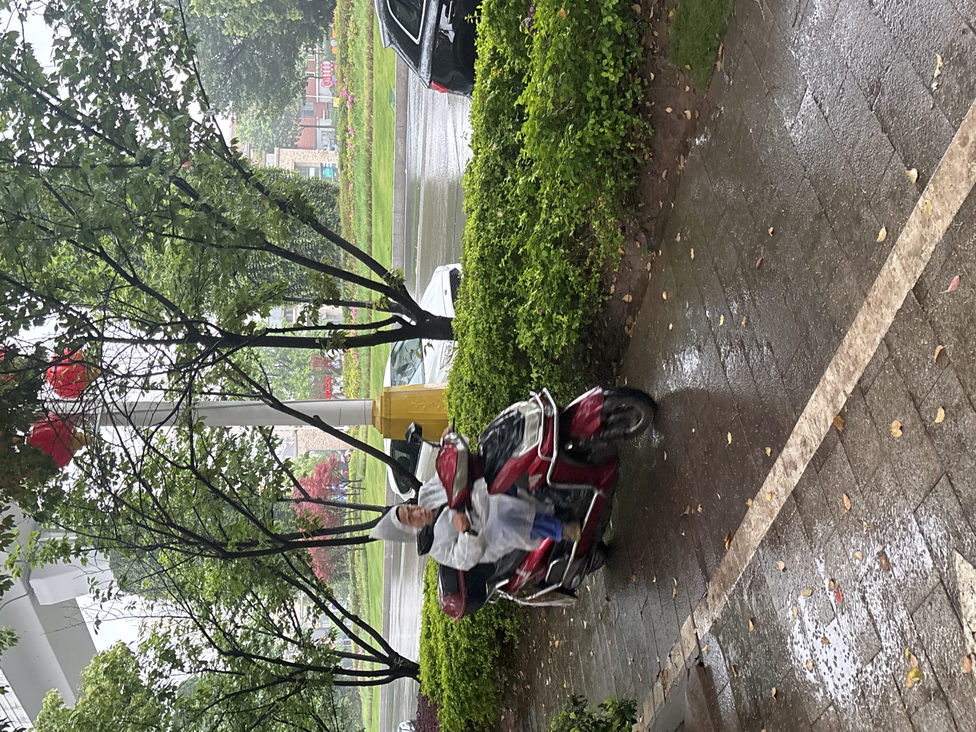 Rain brings umbrellas and ponchos to Jiangjin streets