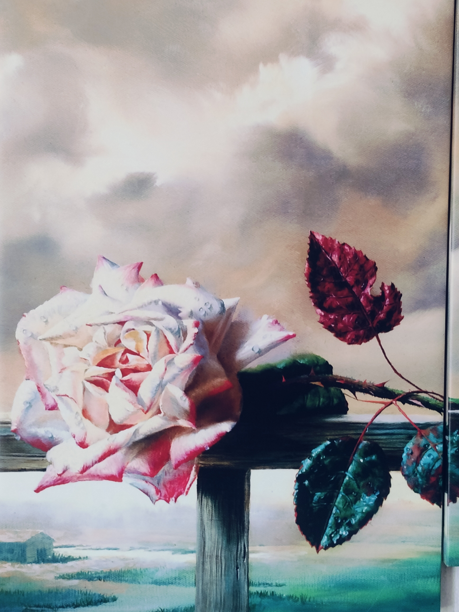 Painted rose with dew drops resting on a wooden railing