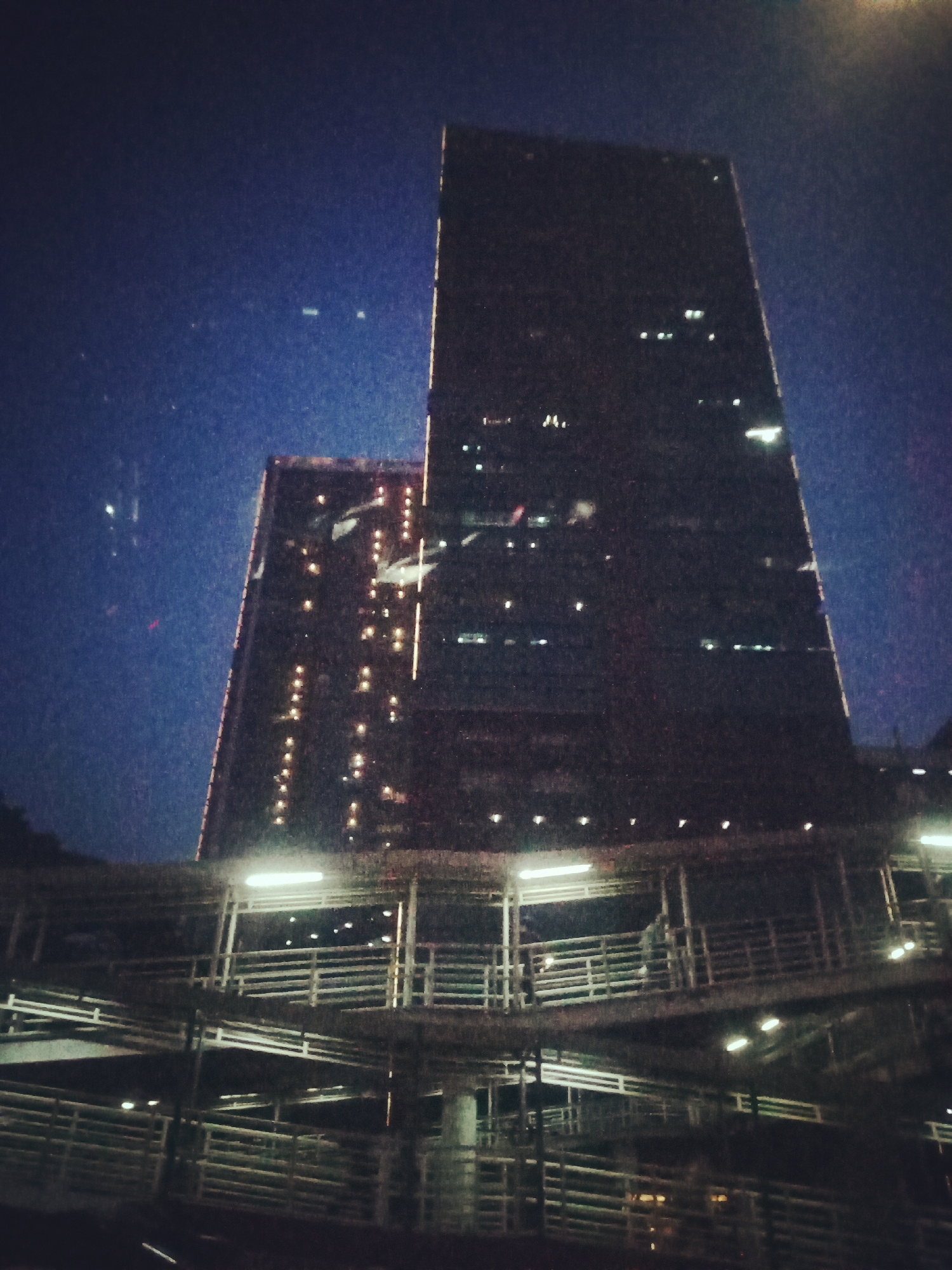 City nights and a sunlit park along the water
